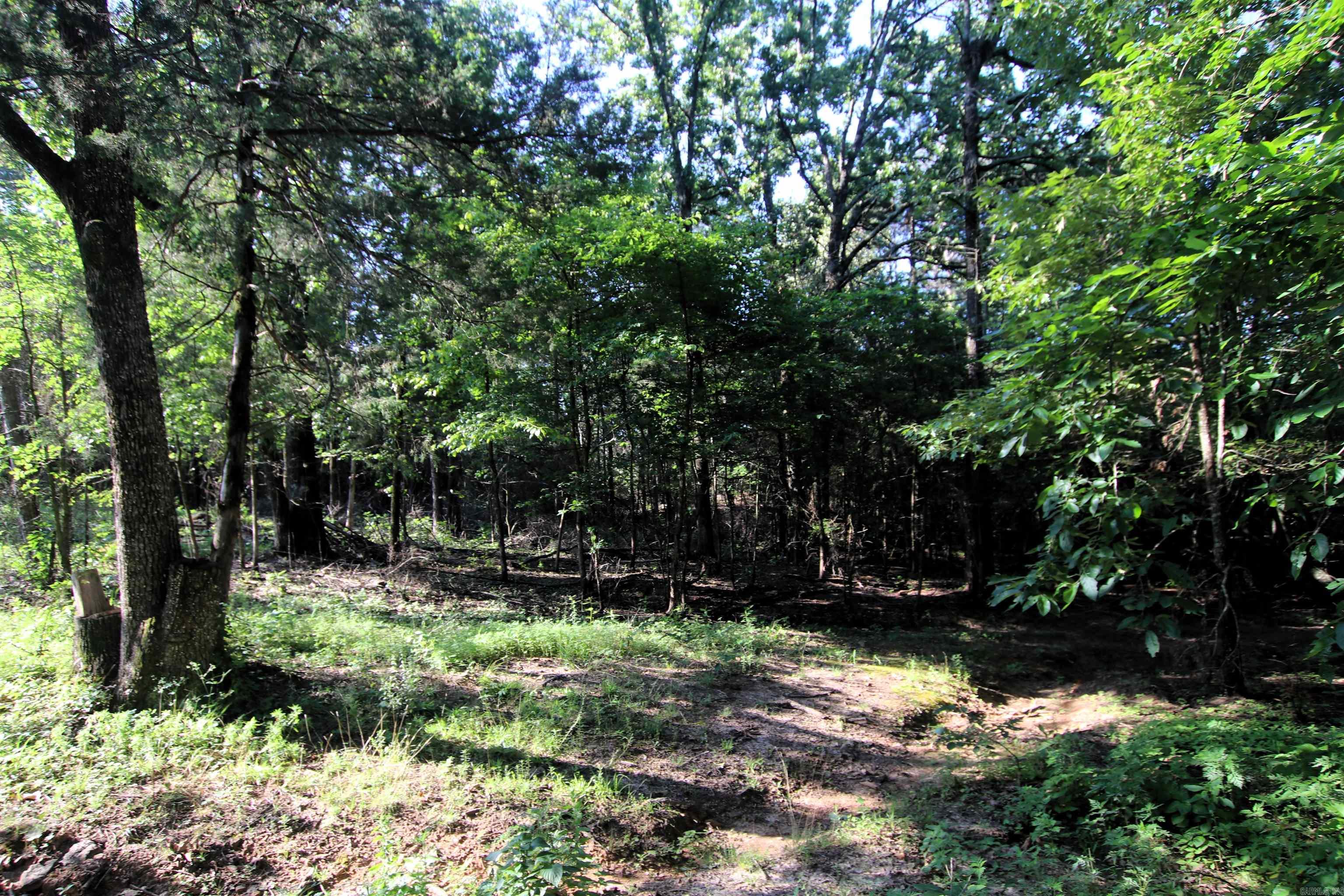 Not in Subdivision - Farm