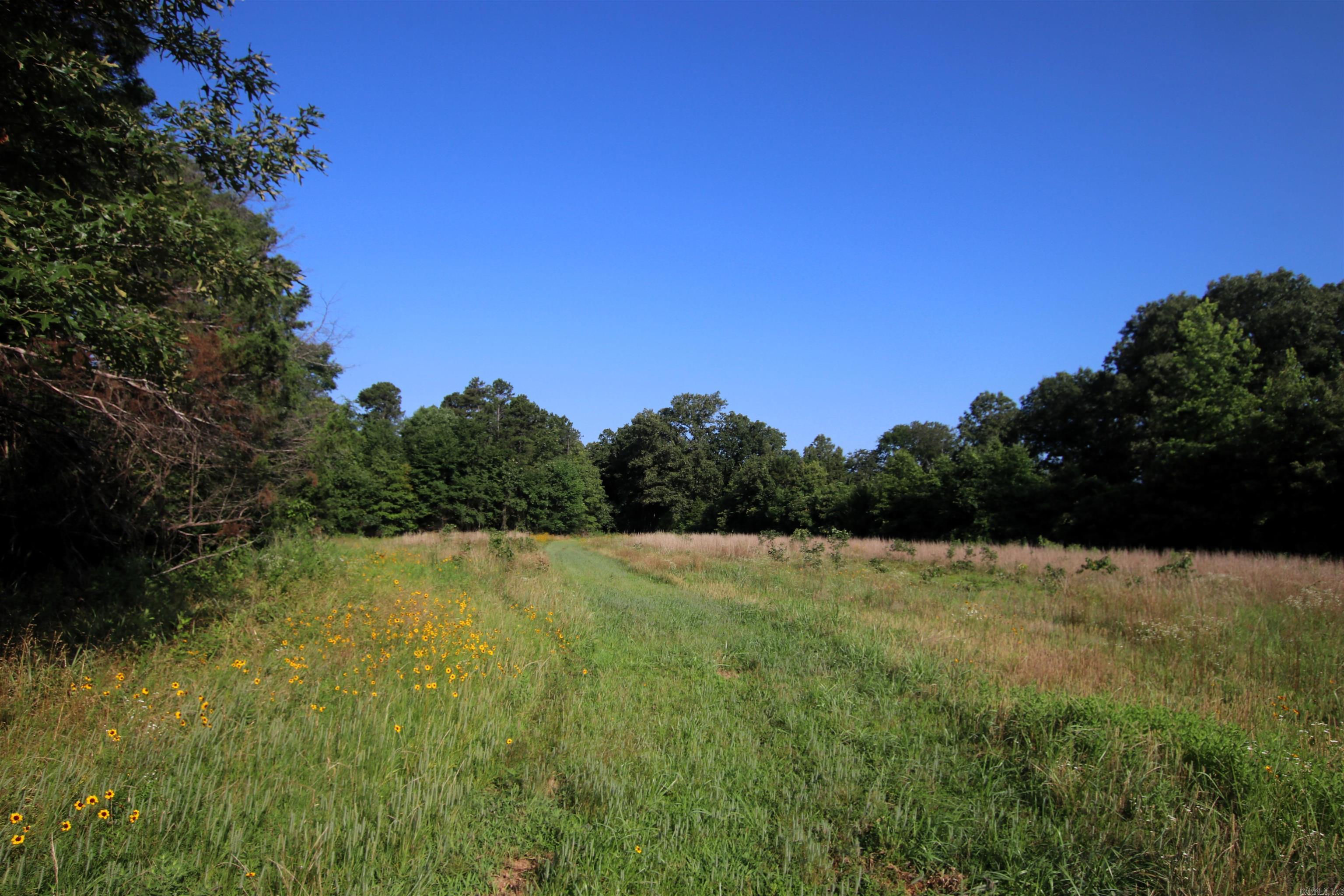 Not in Subdivision - Farm