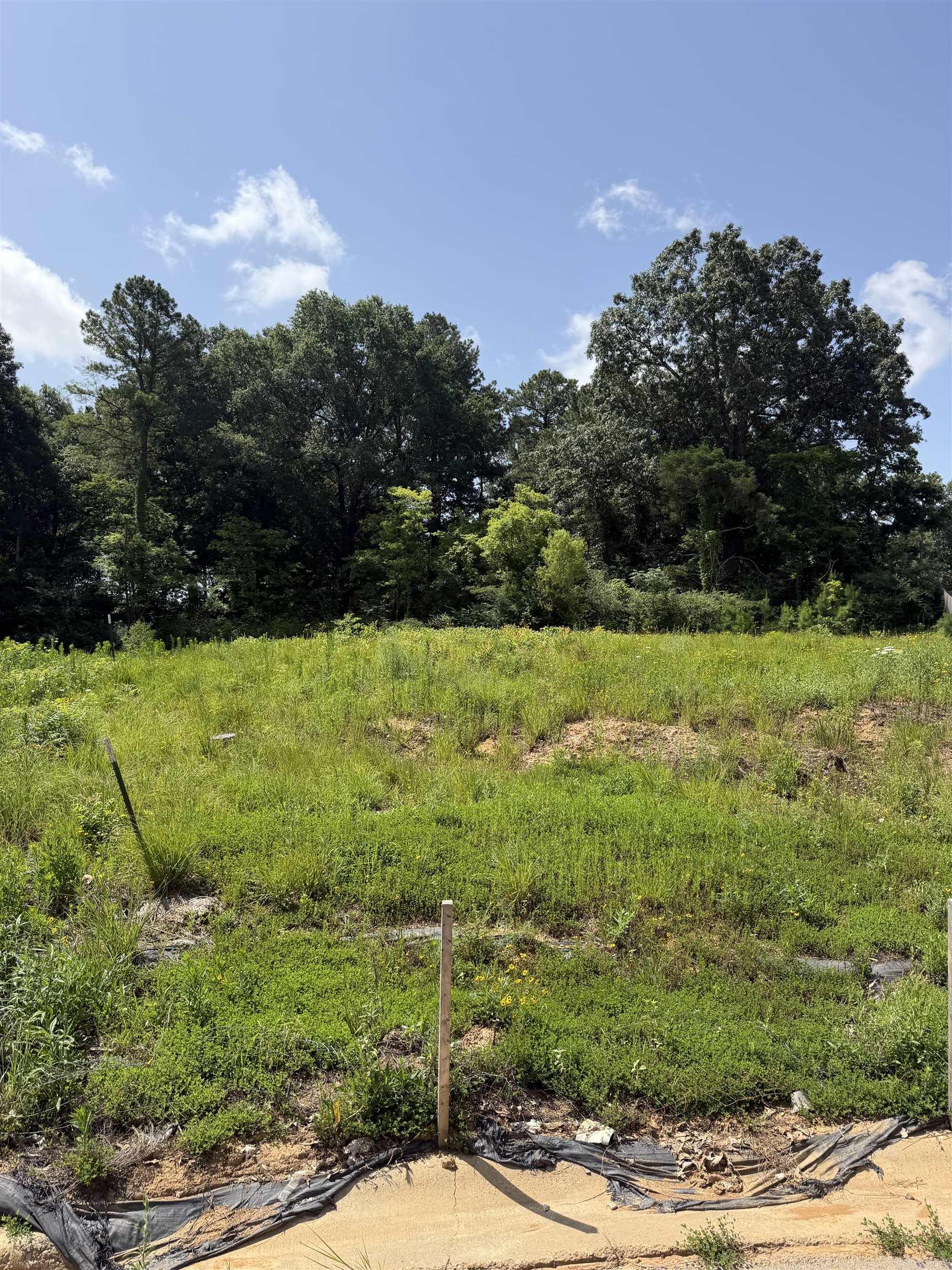 Great building lot close to ASU and NEA Hospital in the Hilltop area.  Call or text today for more information!
