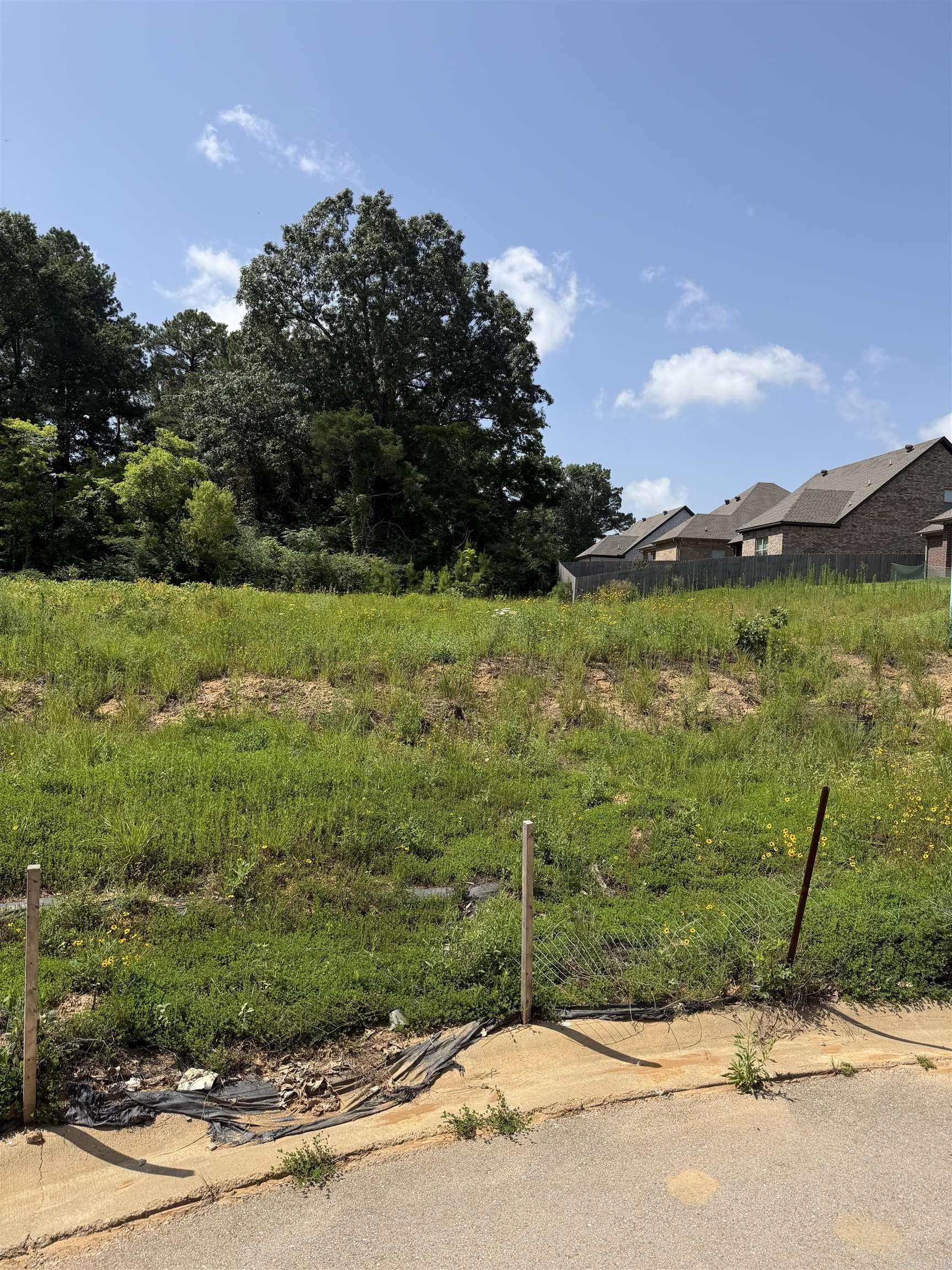 PROSPECT VILLAGE - Land