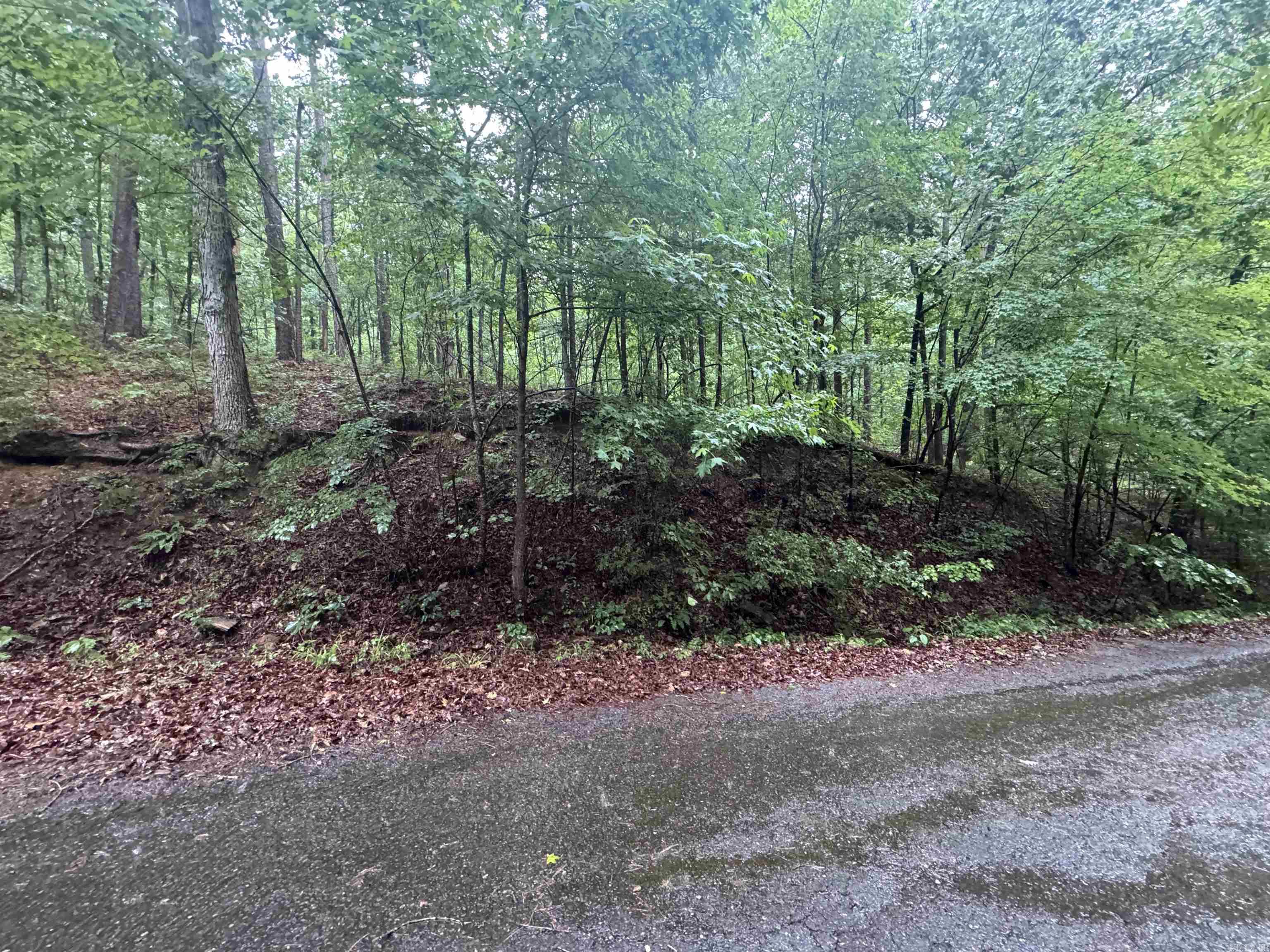 Beautiful 1-acre lot located in the highly desirable central area of Hot Springs Village. Enjoy the perfect balance of privacy and convenience with easy access to golf courses, lakes, walking trails, restaurants, fitness amenities, and the main gates. This spacious homesite offers a peaceful natural setting with plenty of room to build your custom home while still being close to all the amenities the Village is known for. Rare opportunity to own a larger lot in a sought-after location with excellent accessibility and strong long-term value. $300 one-time buy-in fee for new property owners.