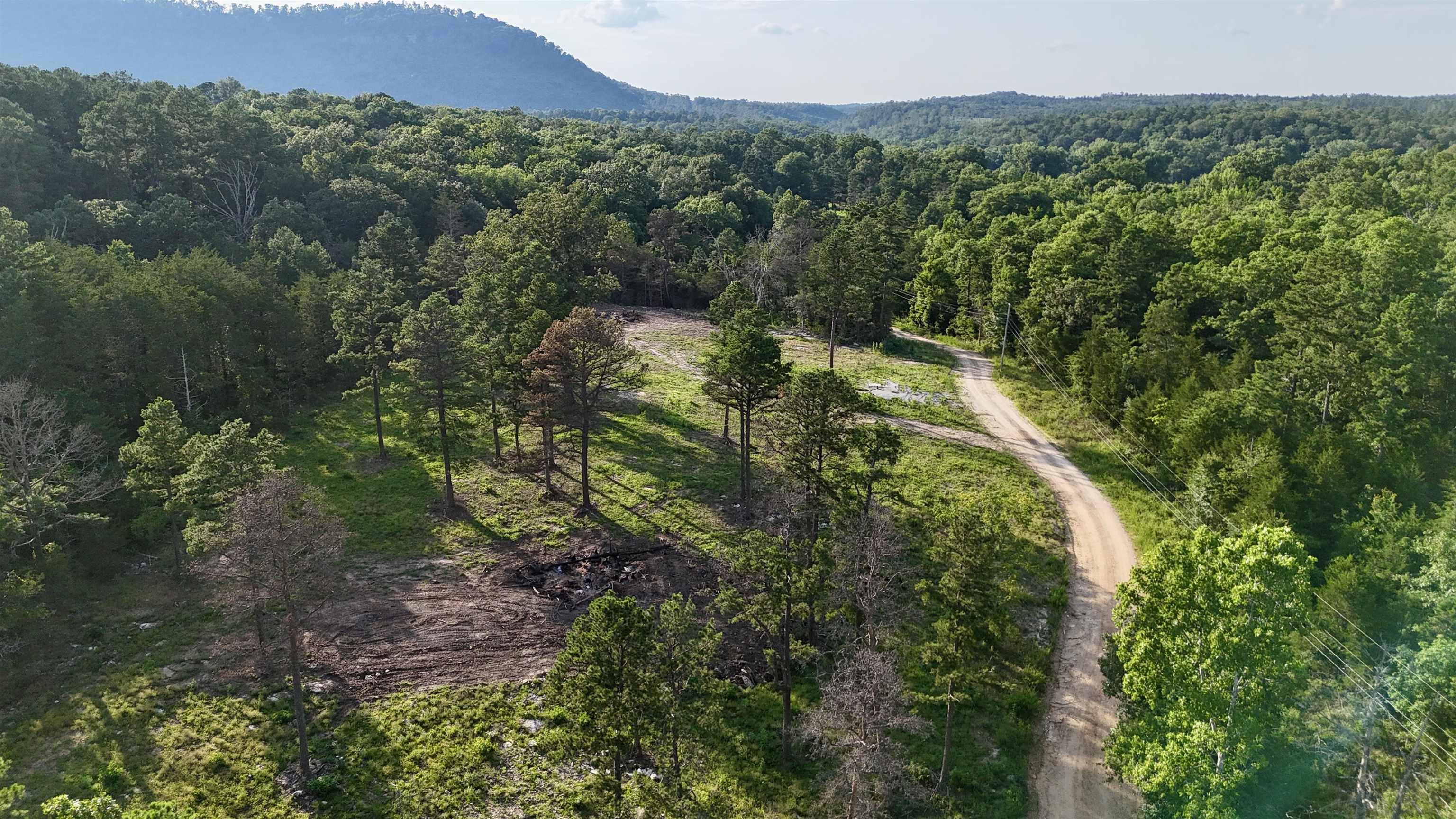 Located in Mount Olive, this 4.14 acres has a fantastic building location along with a new well that was just drilled! This property offers privacy and a seasonal creek! Located just minutes from the White River and nearby hiking trails. Electric & Fiber internet is also available. A great opportunity for anyone looking for land close to outdoor recreation.