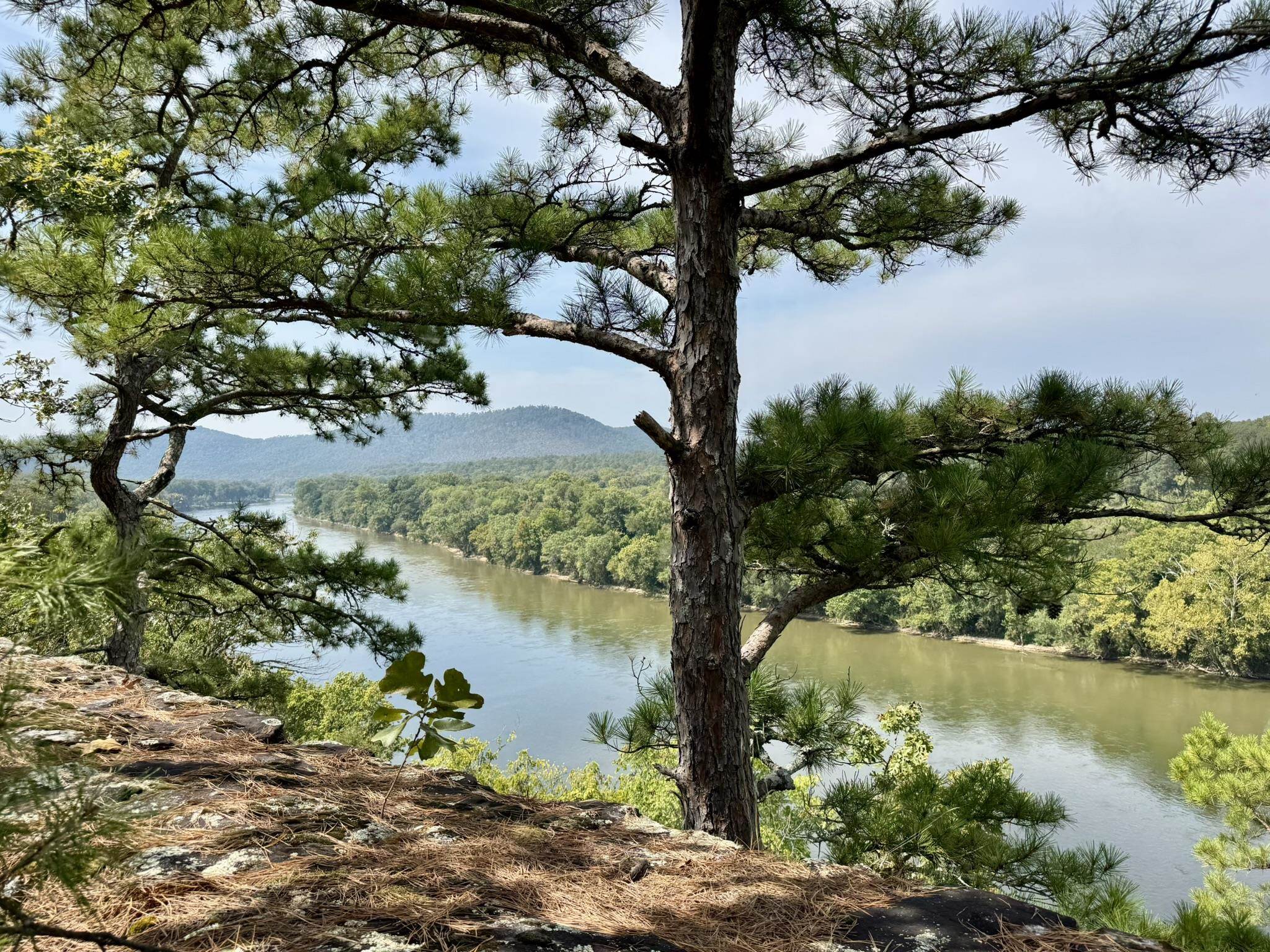 70 acres in the Ozark Mountains with breathtaking views of the White River and the National Forest! This property offers a perfect blend of open pasture and mature woods, complete with one ponds and a seasonal creek. Electric is already on site, and frontage on Mount Olive Road Great trail wind through the land, leading to the bluff’s edge where panoramic river views are truly amazing. With multiple building sites to choose from, this property is ideal for creating a private retreat with the ultimate dream home or Investment opportunity.