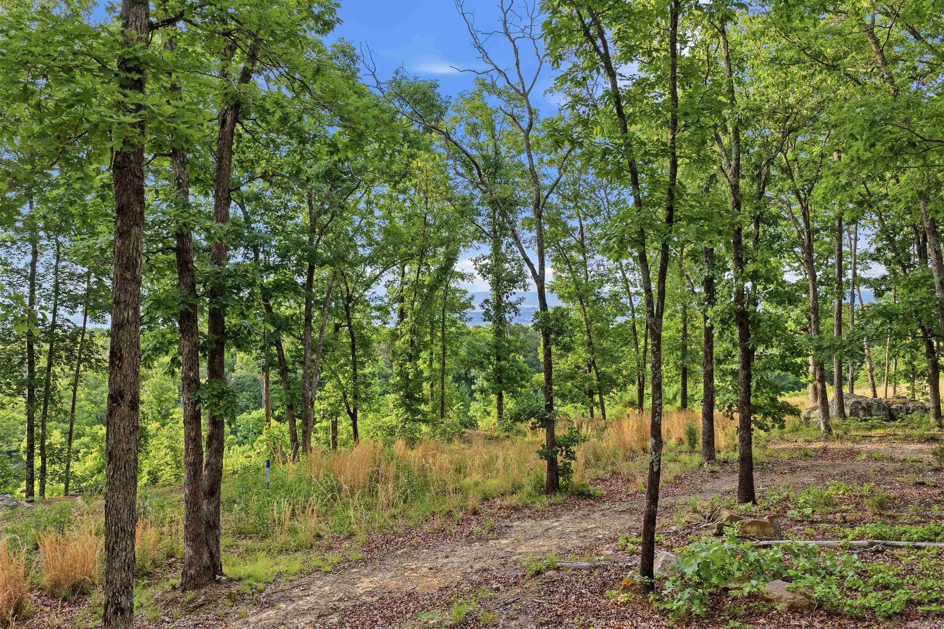 Osage Point - Land