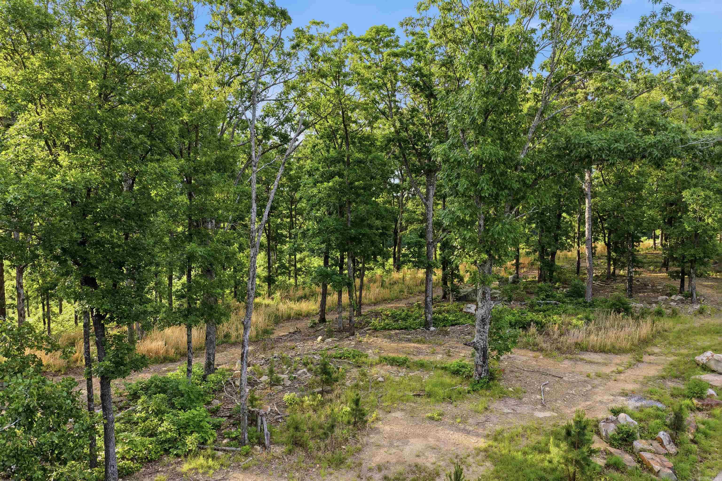 Osage Point - Land