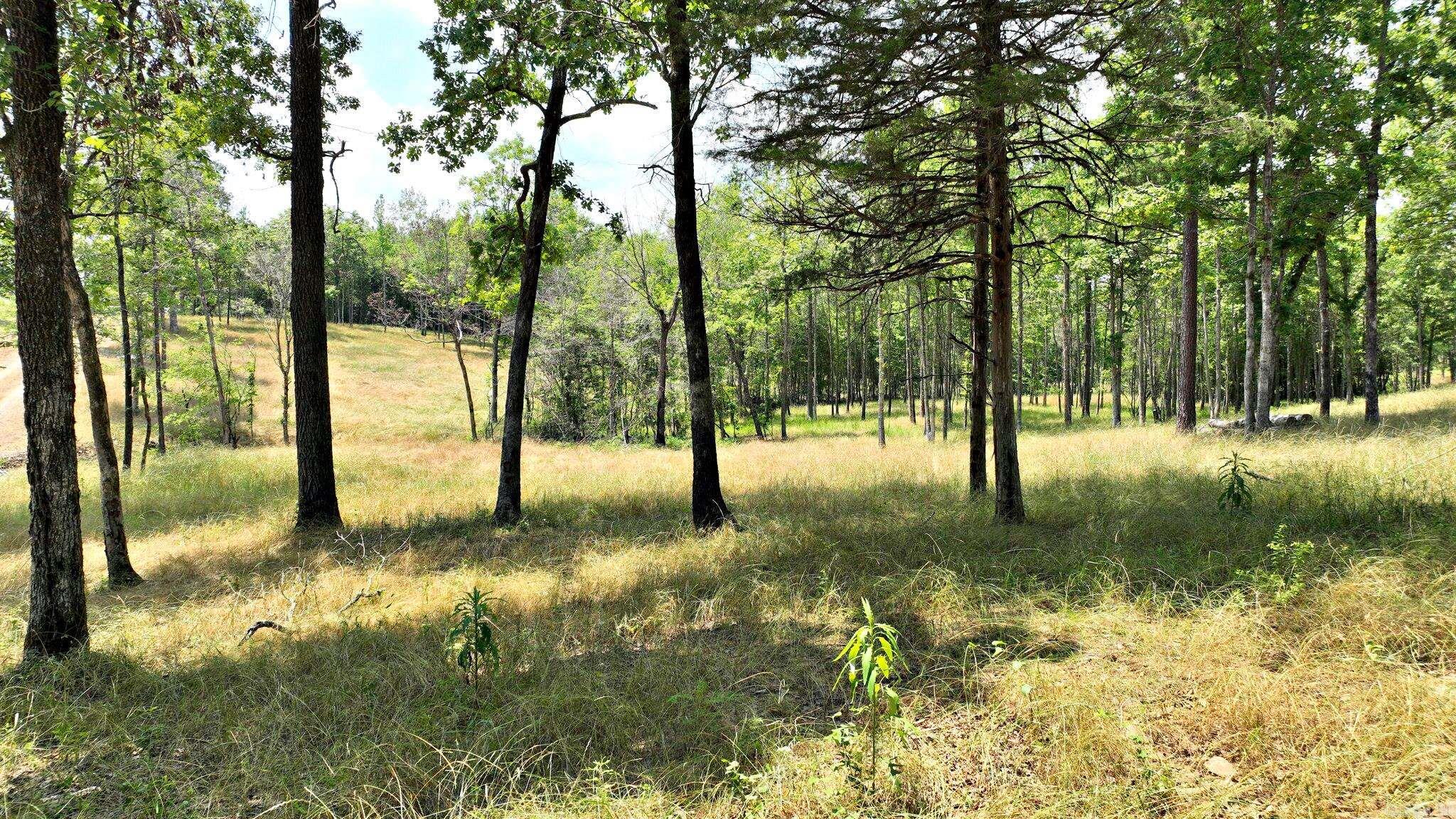 10-acre tract with scattered hardwoods, a small creek, and a potential building area on a hill overlooking the creek. The property offers a mostly natural setting with a mix of open and wooded areas that may be suitable for a residence or periodic recreational use, subject to local regulations. The elevated homesite area allows for a design that takes advantage of the views and topography. Power is reported to be readily available, which may help facilitate future building plans. Buyers should verify utilities, access, any restrictions, and intended use to ensure the property meets their needs.
