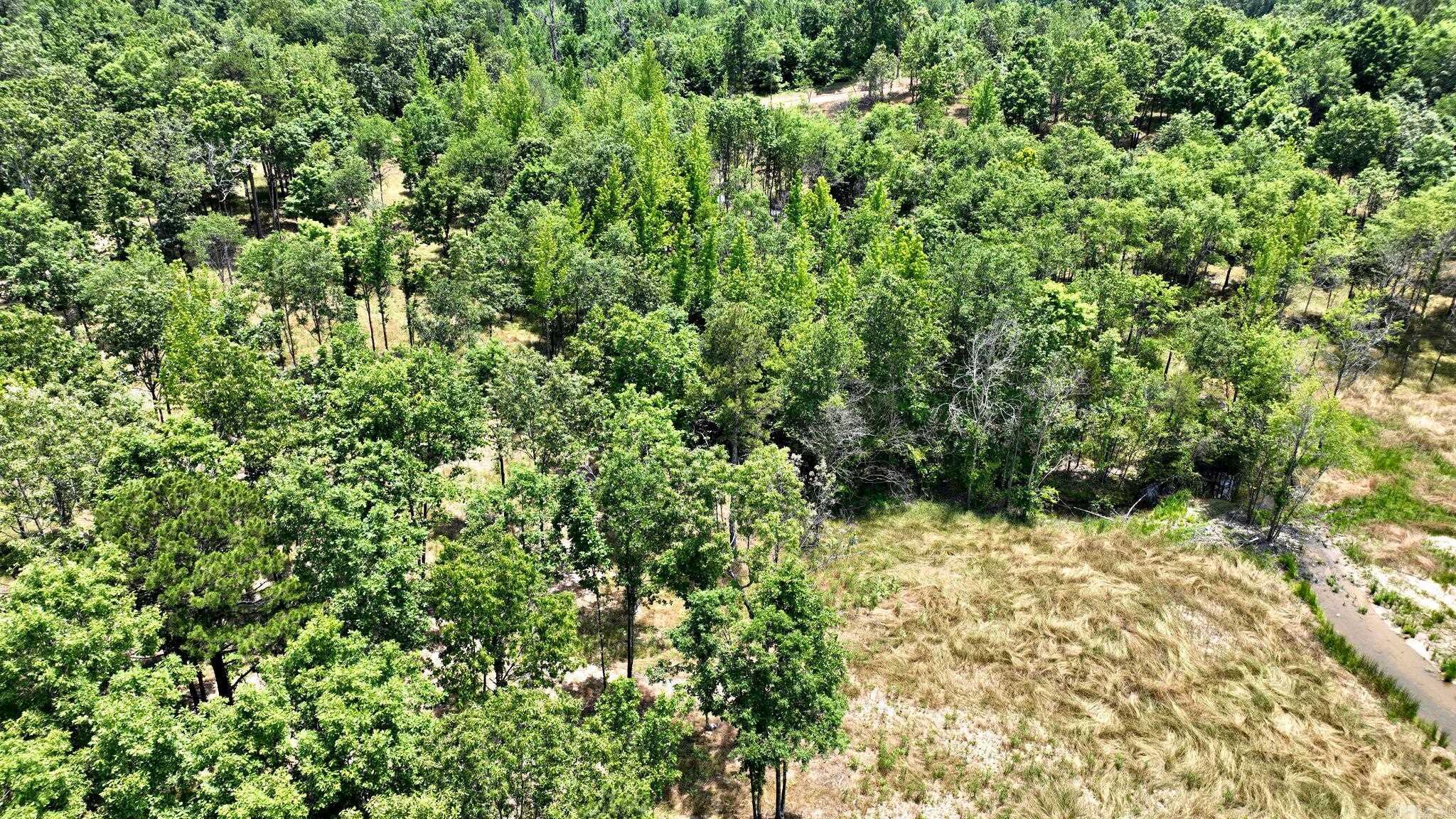 Alder Springs-Rocky - Land