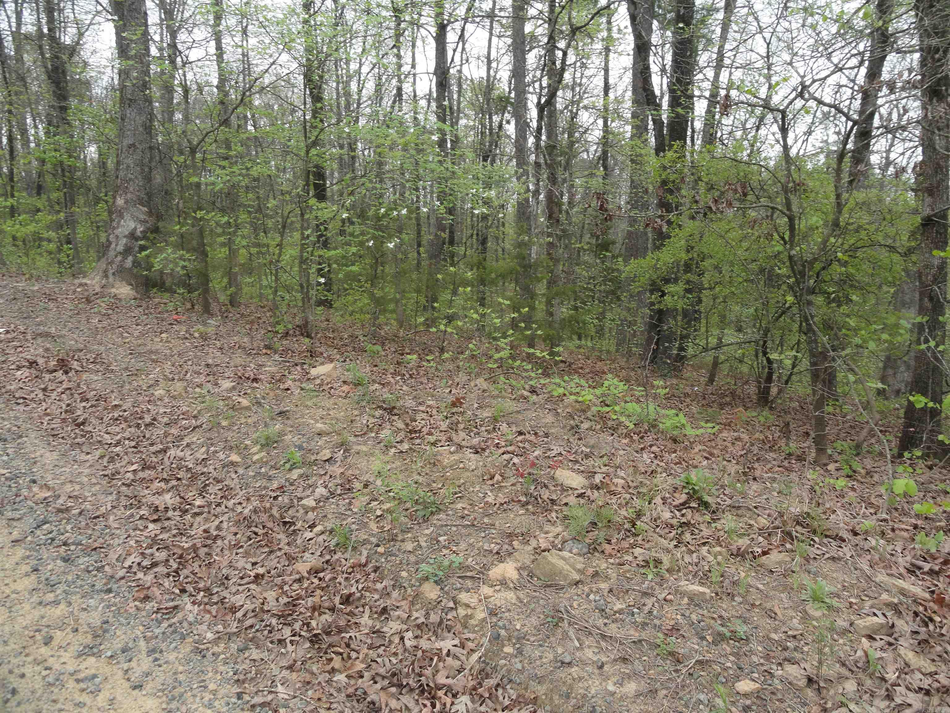 Hunter Mountain Estates - Land
