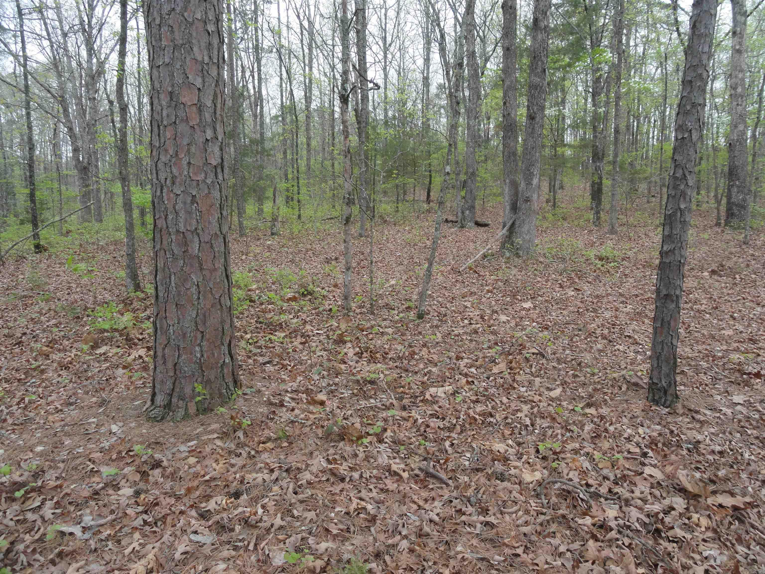 Hunter Mountain Estates - Land