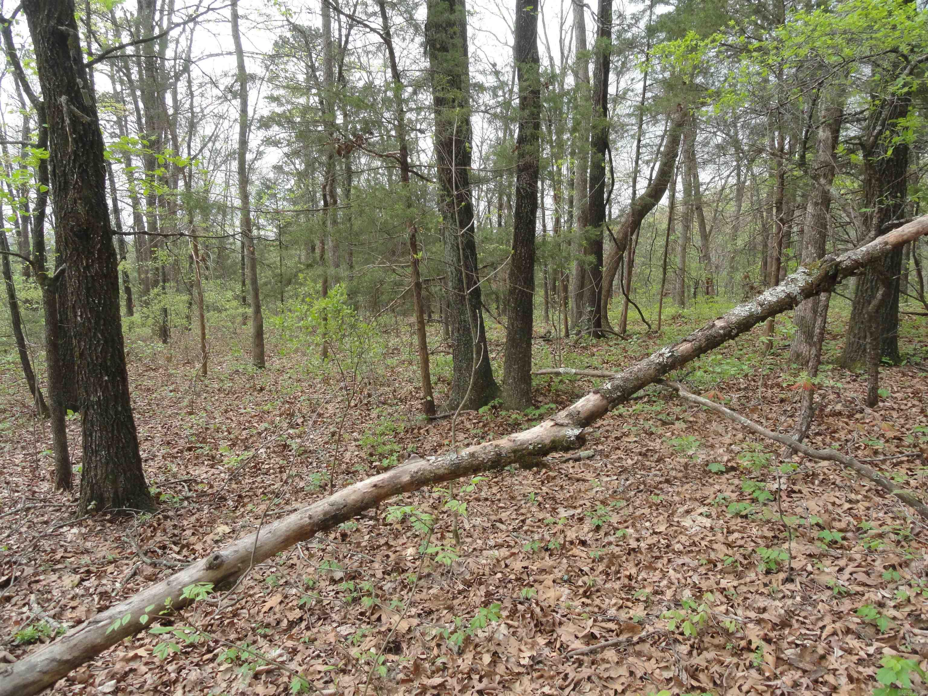 Hunter Mountain Estates - Land