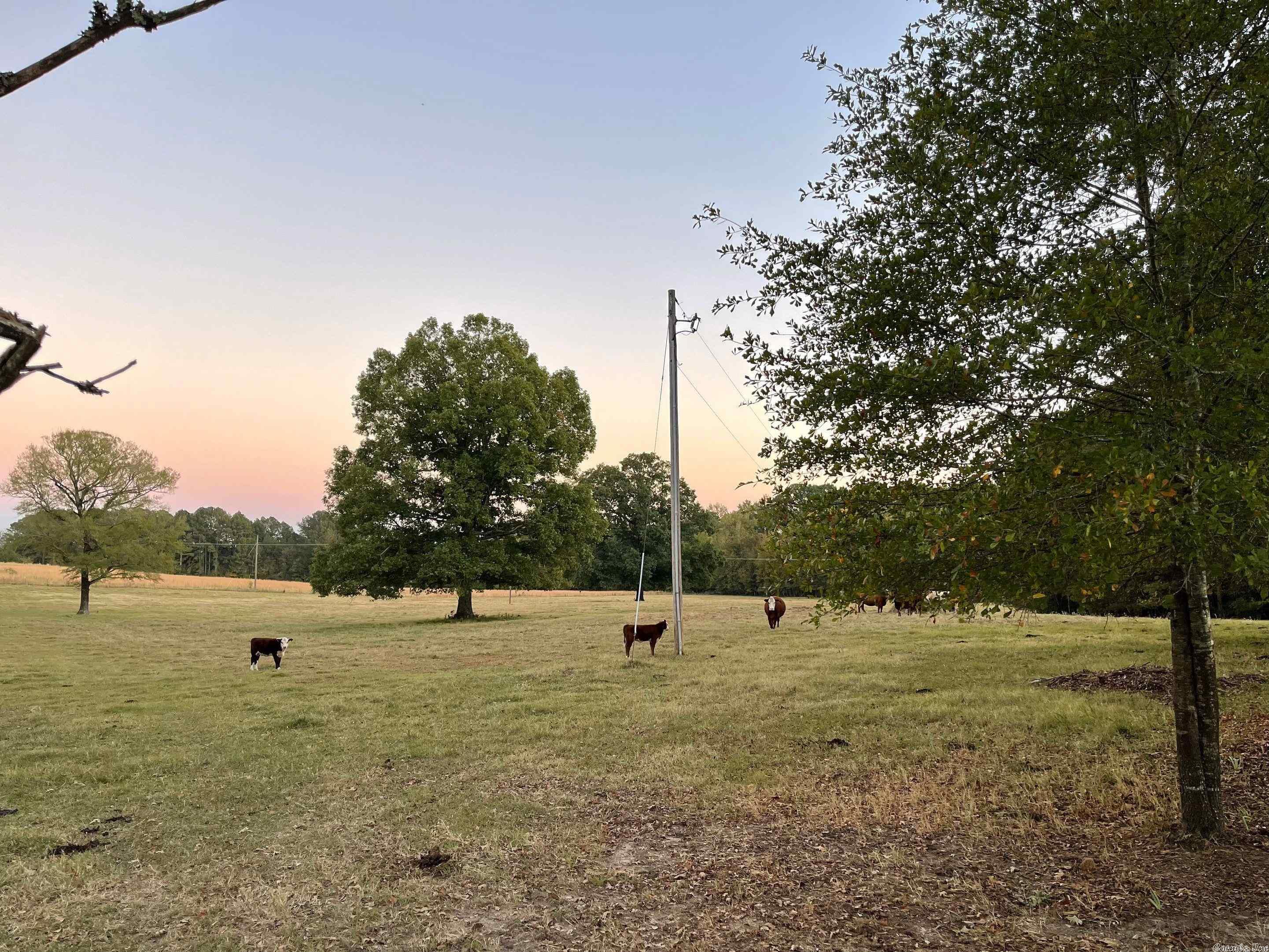 Not in Subdivision - Land