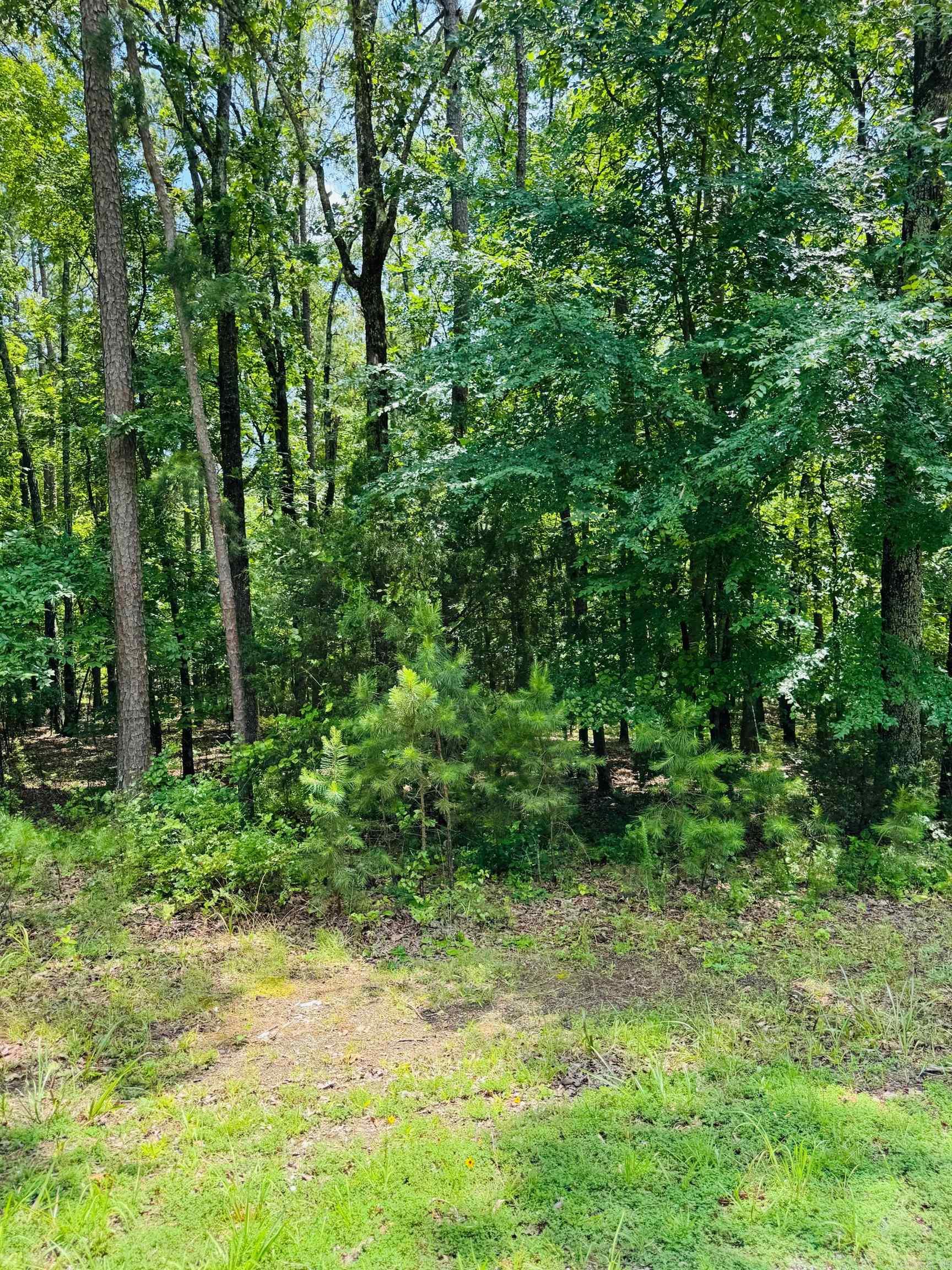 Primrose Creek Sayles - Land