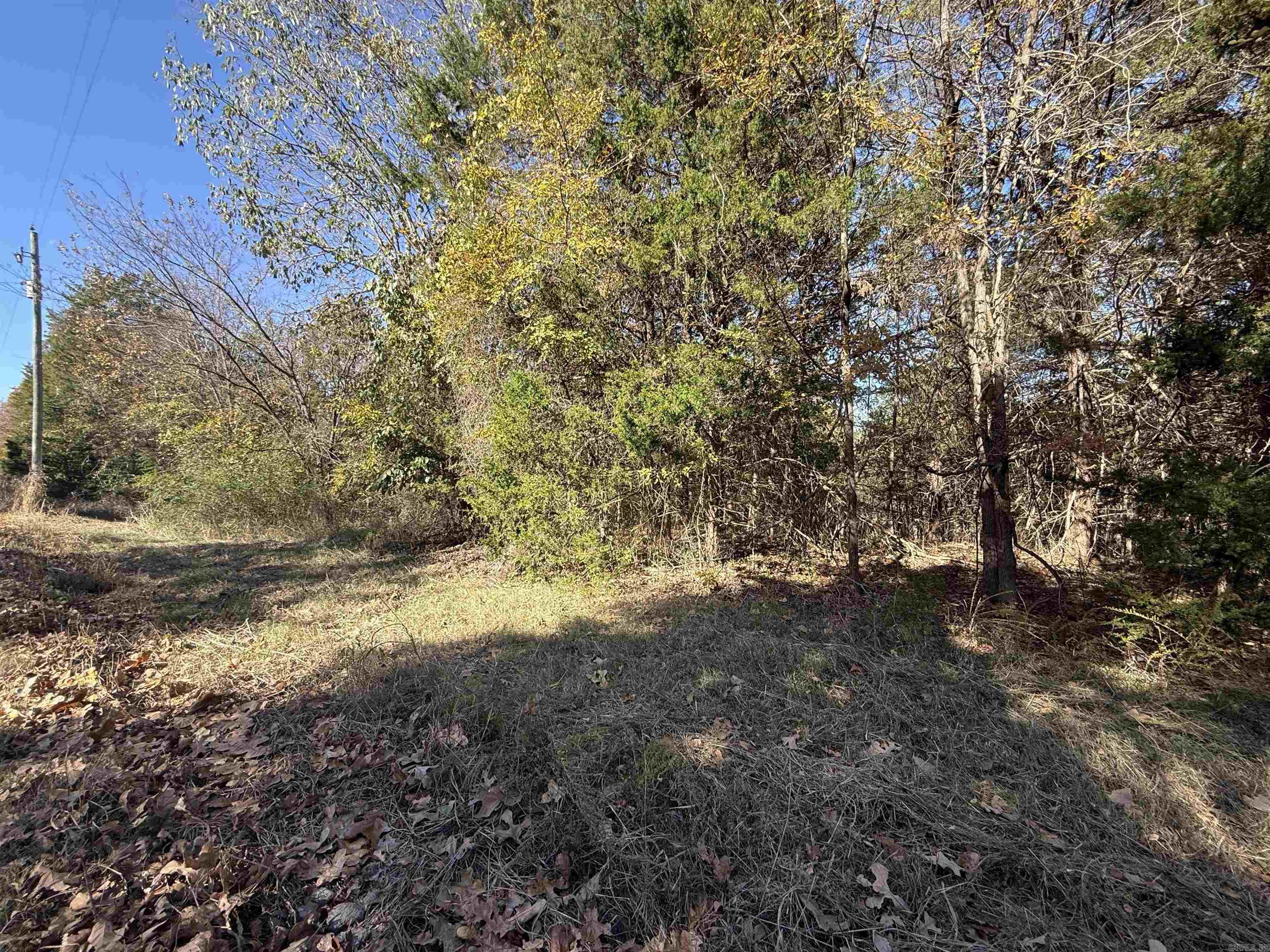 Just minutes from beautiful Bull Shoals Lake! Enjoy this peaceful 0.18-acre lot perfect for a weekend getaway, future cabin, or quiet retreat near the water. Great location for boating, fishing, and outdoor recreation, all within easy access of area marinas and public launch ramps.