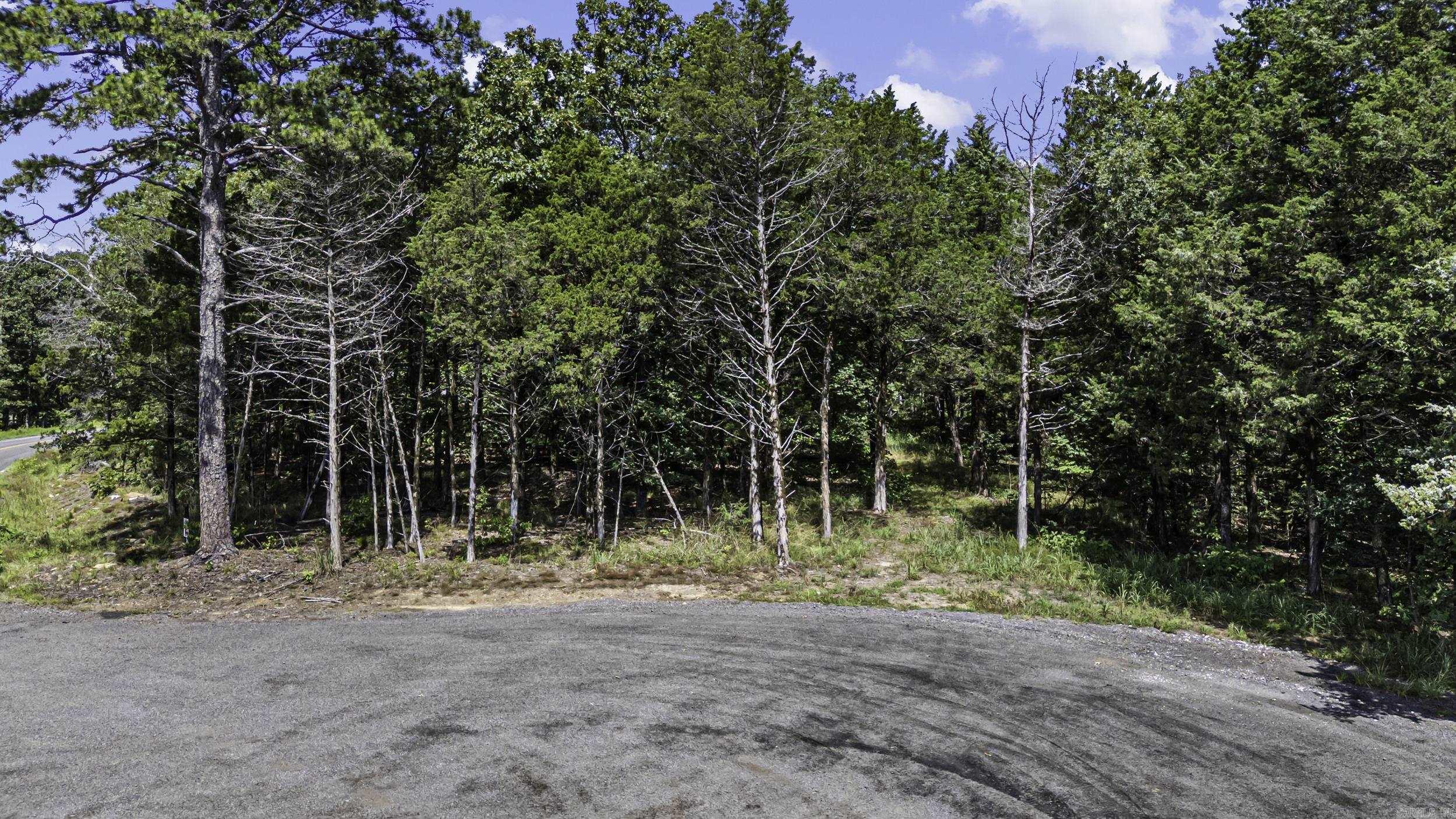 Located among mature trees, this 2.29-acre wooded lot offers the perfect opportunity to build your dream home while enjoying the beauty and privacy of nature. Once selectively cleared, the property has the potential to showcase scenic bluff, city, and mountain views. With paved road frontage and utilities available, this property combines peaceful surroundings with the convenience of being just minutes from everything Russellville has to offer.