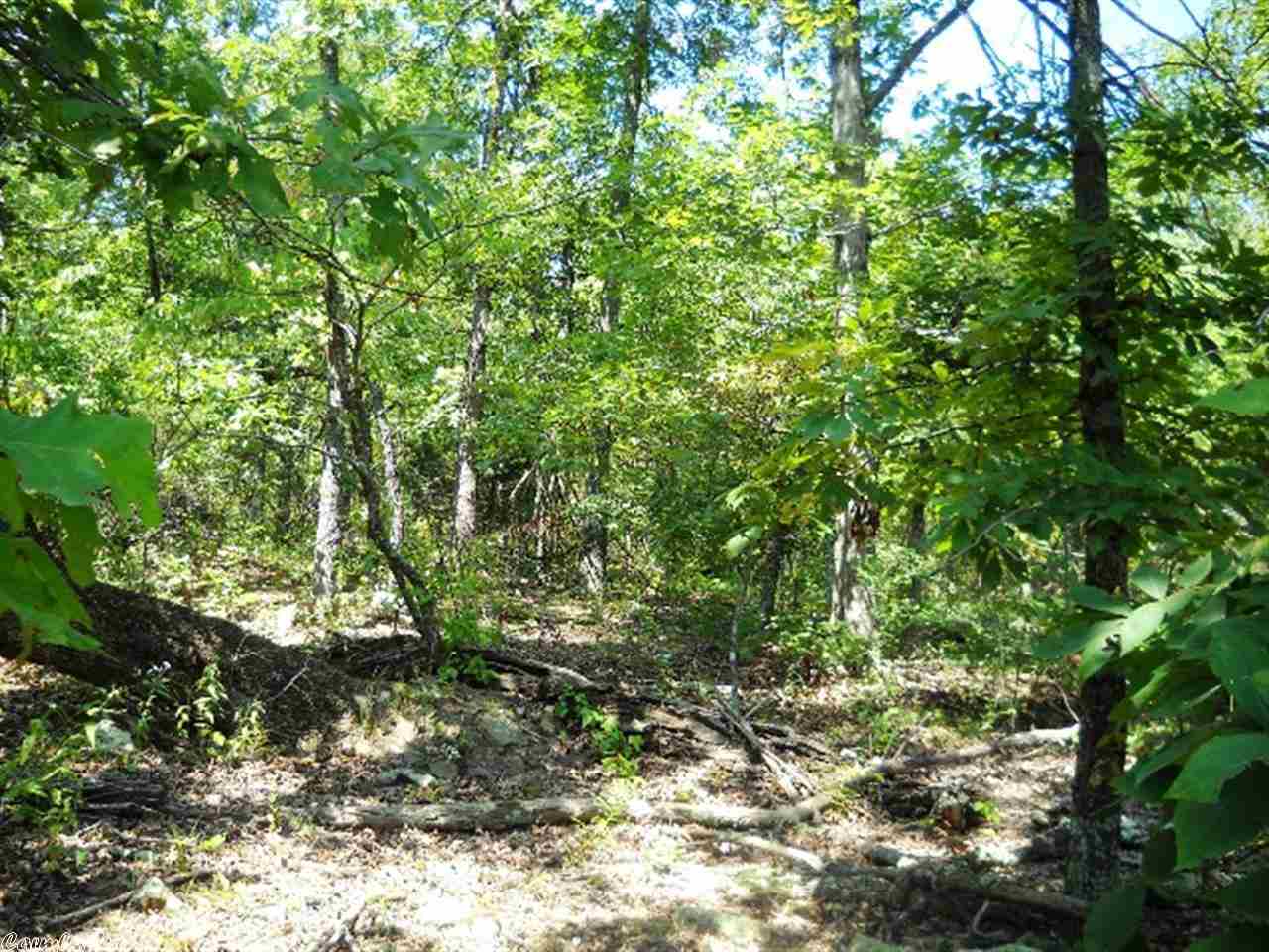 No. 01277 - All wooded perfect hunting property or for building a new home. No restrictions.Property is split by state highway and could easily be sold in 3 separate parcels for any person not wishing to own the full 32 acres  $34,000