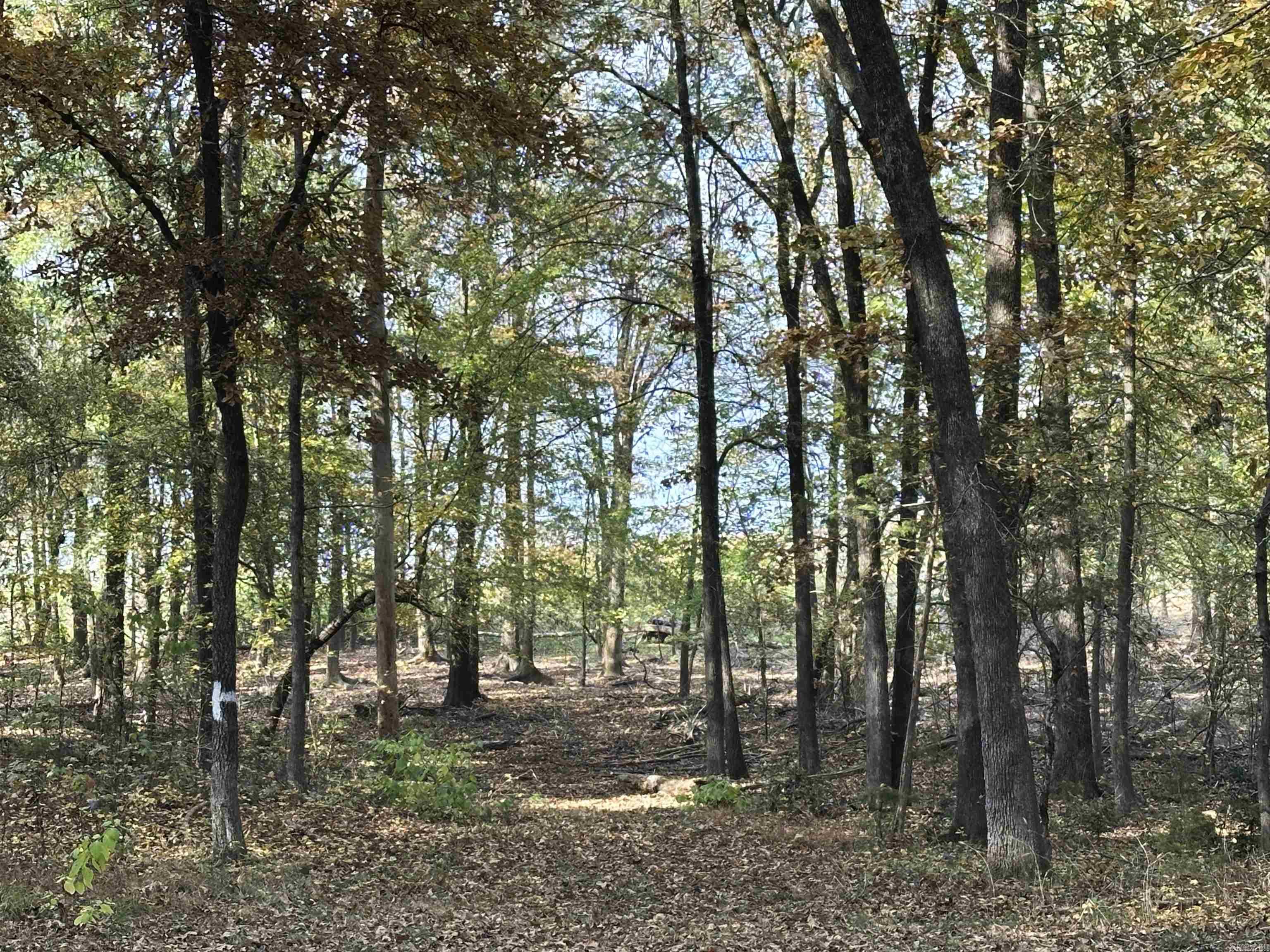BAYWOOD - LAKE - Residential