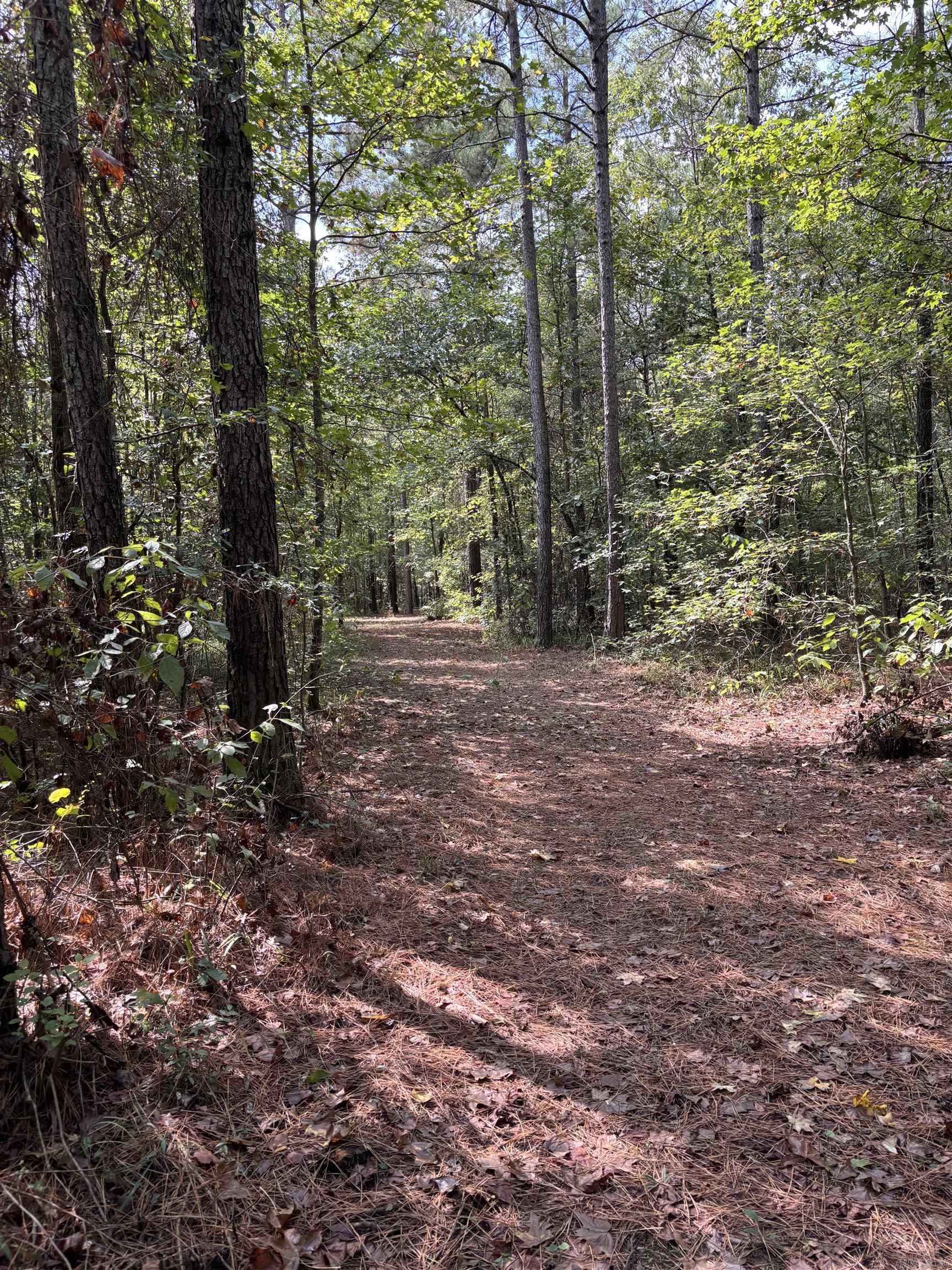 80 acres of prime hunting and recreational land offering endless opportunities for outdoor enthusiasts. Abundant wildlife and ready for your next adventure. Whether you’re looking for a hunting retreat, weekend getaway or investment property, this land offers unlimited potential. This property has been beautifully maintained and offers the ideal hunting experience with trails, timber and space to relax.