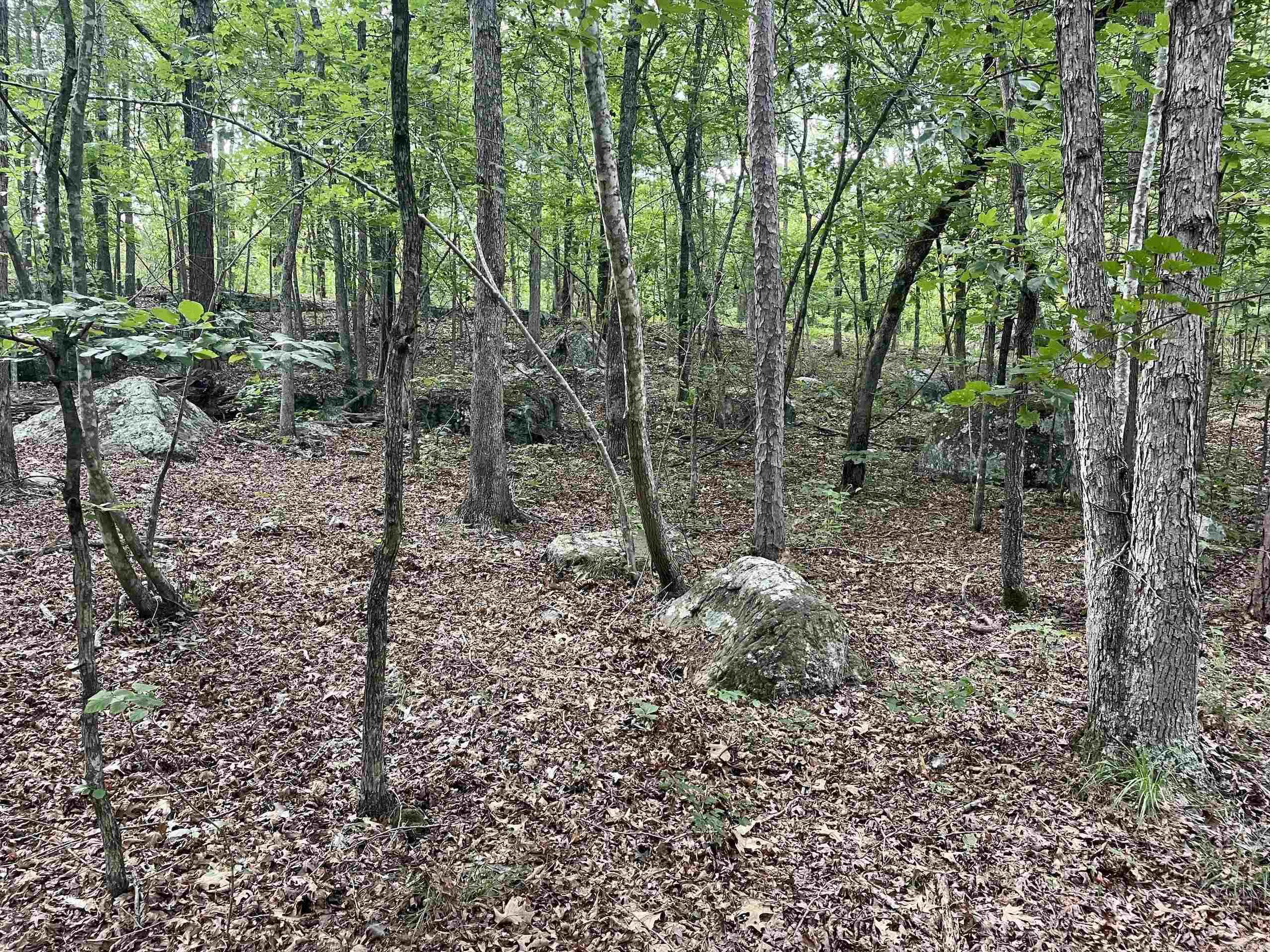Not in Subdivision - Land