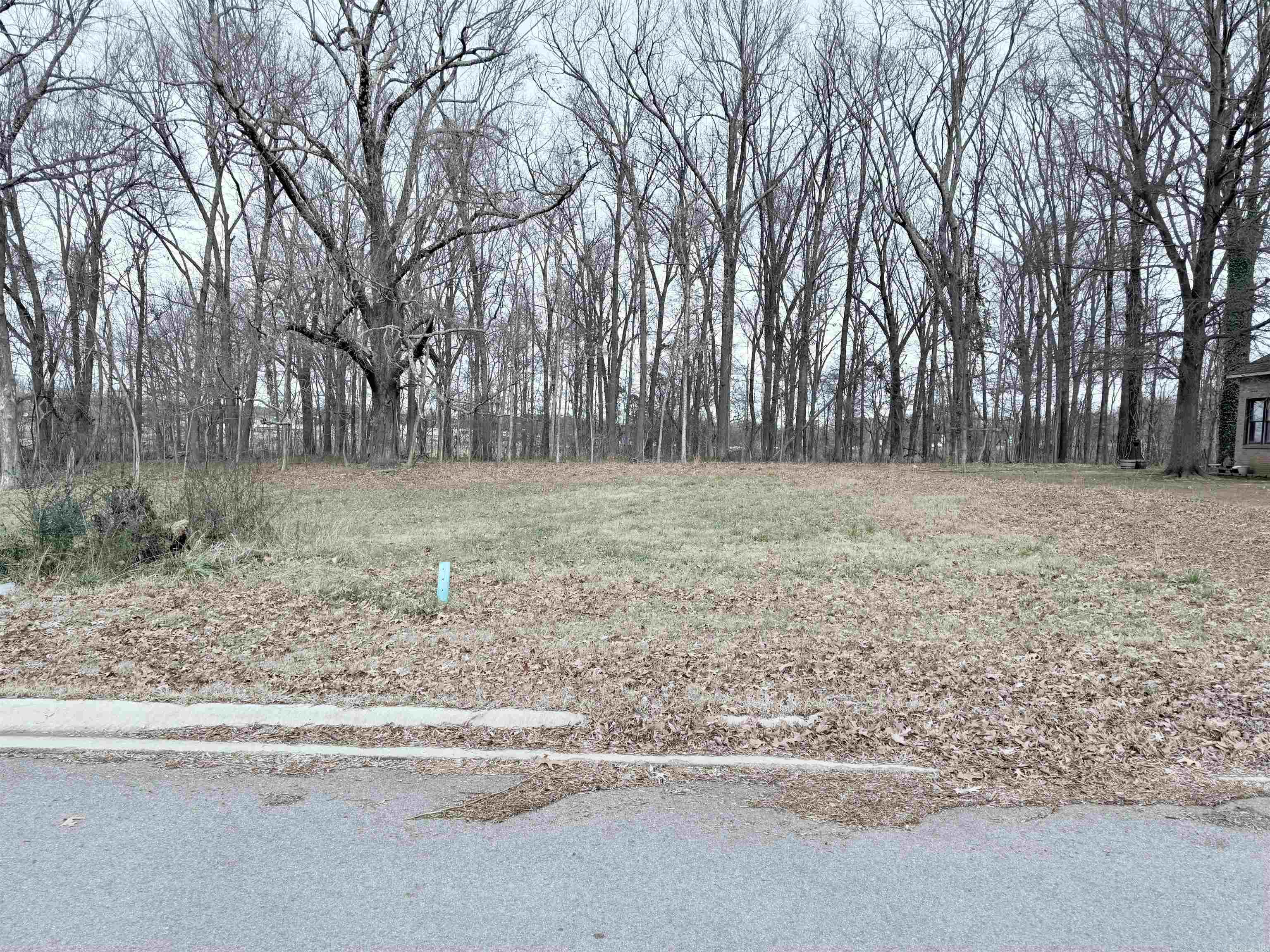 Charming 0.20-acre lot in Creekwood Addition in Jonesboro, located on the southwest side of town. This homesite offers a gentle slope, ideal for building, with a tree-lined backdrop that provides added privacy. Situated in a newer subdivision with a nice blend of natural setting and neighborhood appeal—perfect for your custom home.