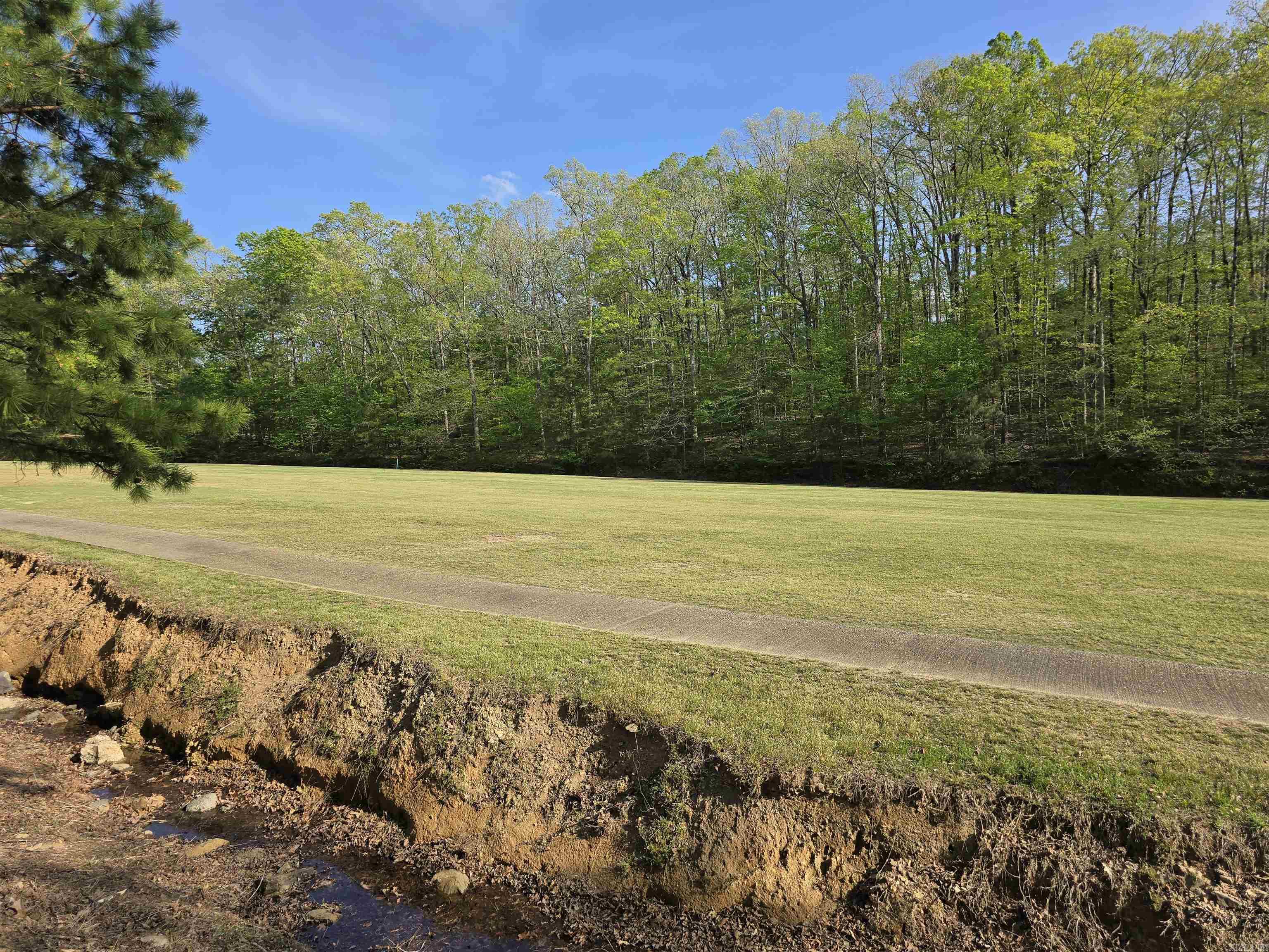 The location of this lot is something to think about...smack in the middle of #6 fair way... Beautiful lot in a quiet neighborhood and the price is right!  So what are you waiting for?? Live the lifestyle you've always dreamed in a resort community.  Just a few minutes from town this community offers the best of all worlds - the serenity of quiet community living, the convenience of lake access, golfing, tennis/pickleball, swimming pool and community activities, close to Lake Catherine State Park with water falls & hiking trails and 45 minutes to Little Rock. Come take a look and join the fun!