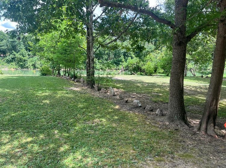 Spring Wood - Land
