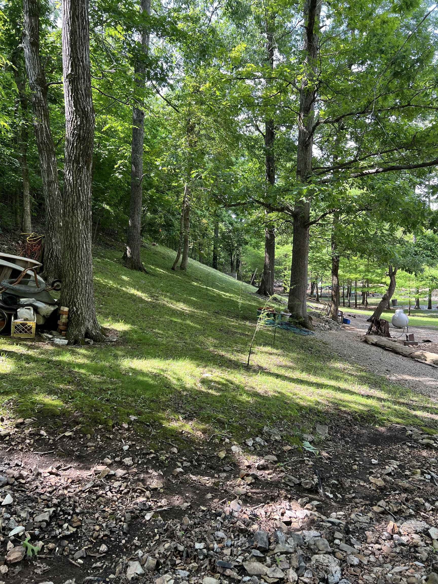 Spring Wood - Land
