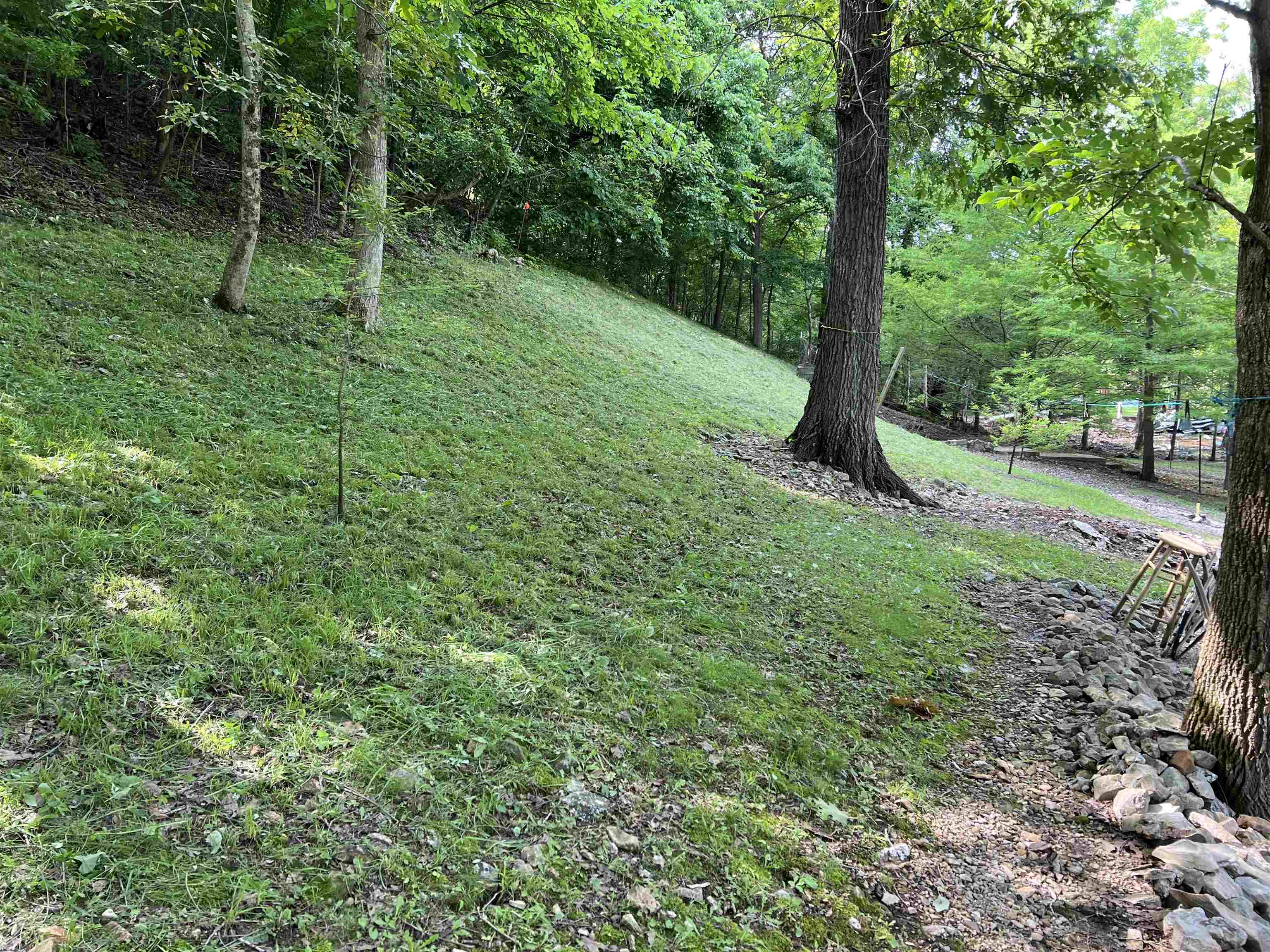 Spring Wood - Land