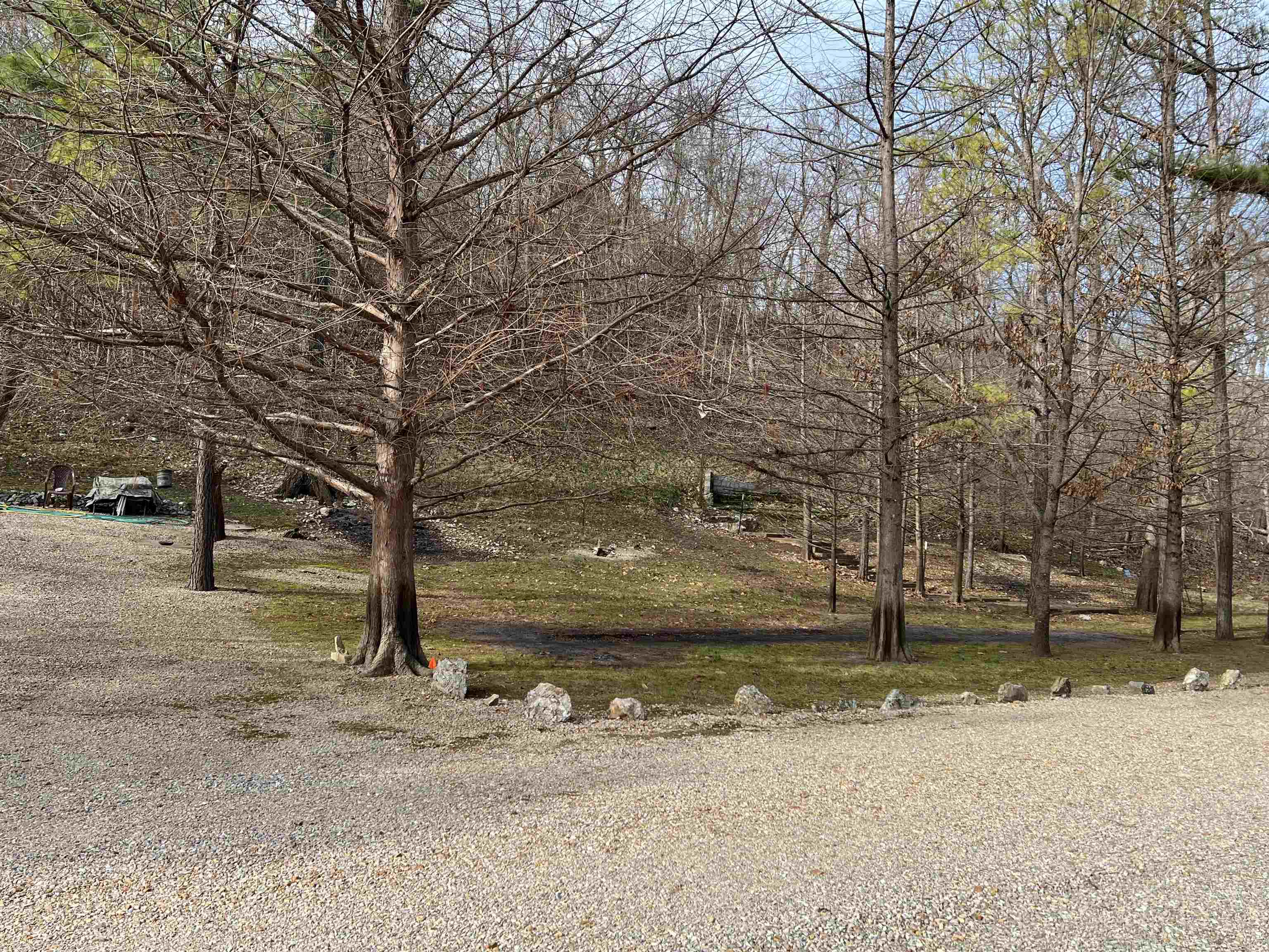 Spring Wood - Land