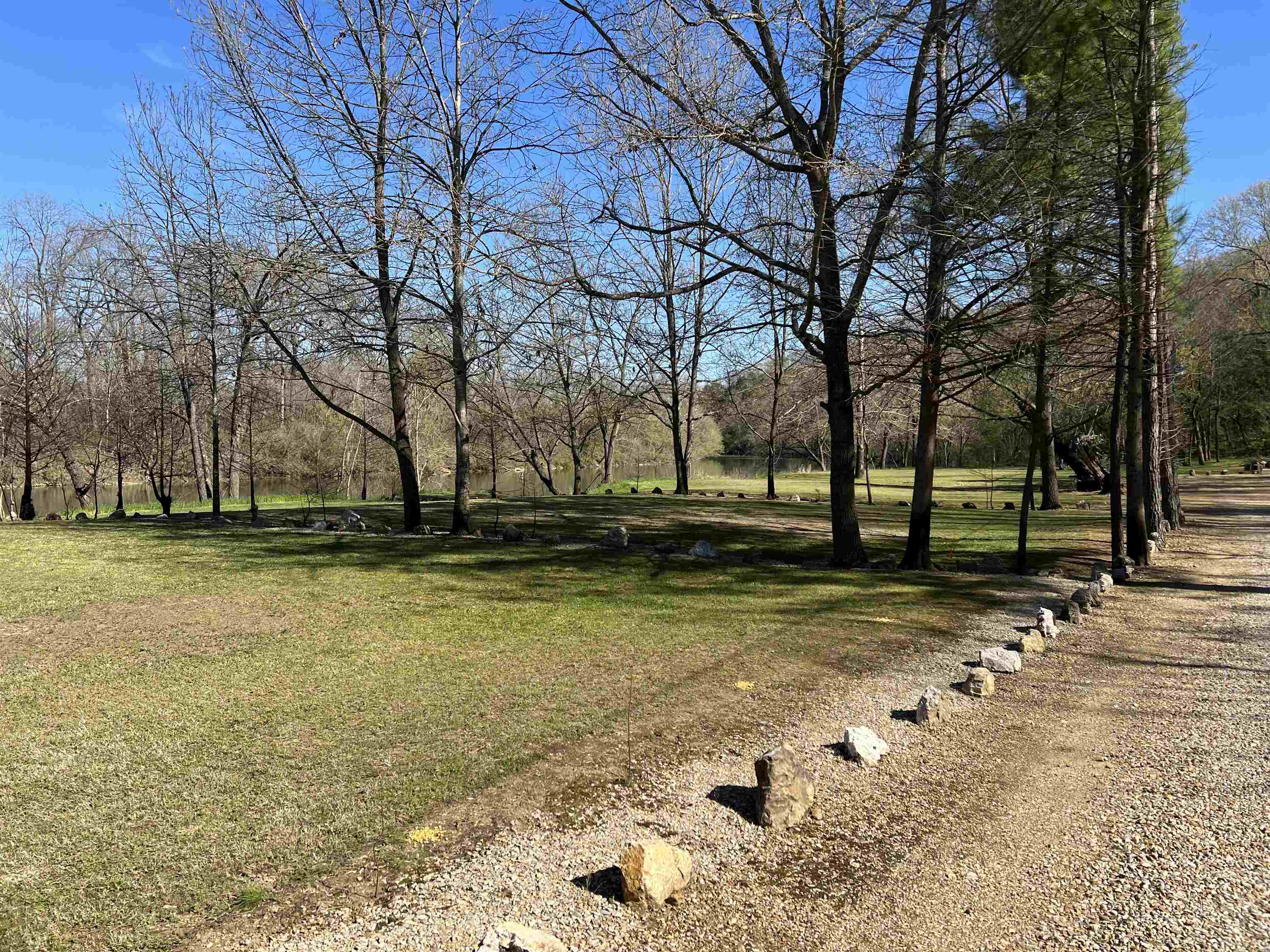 Spring Wood - Land