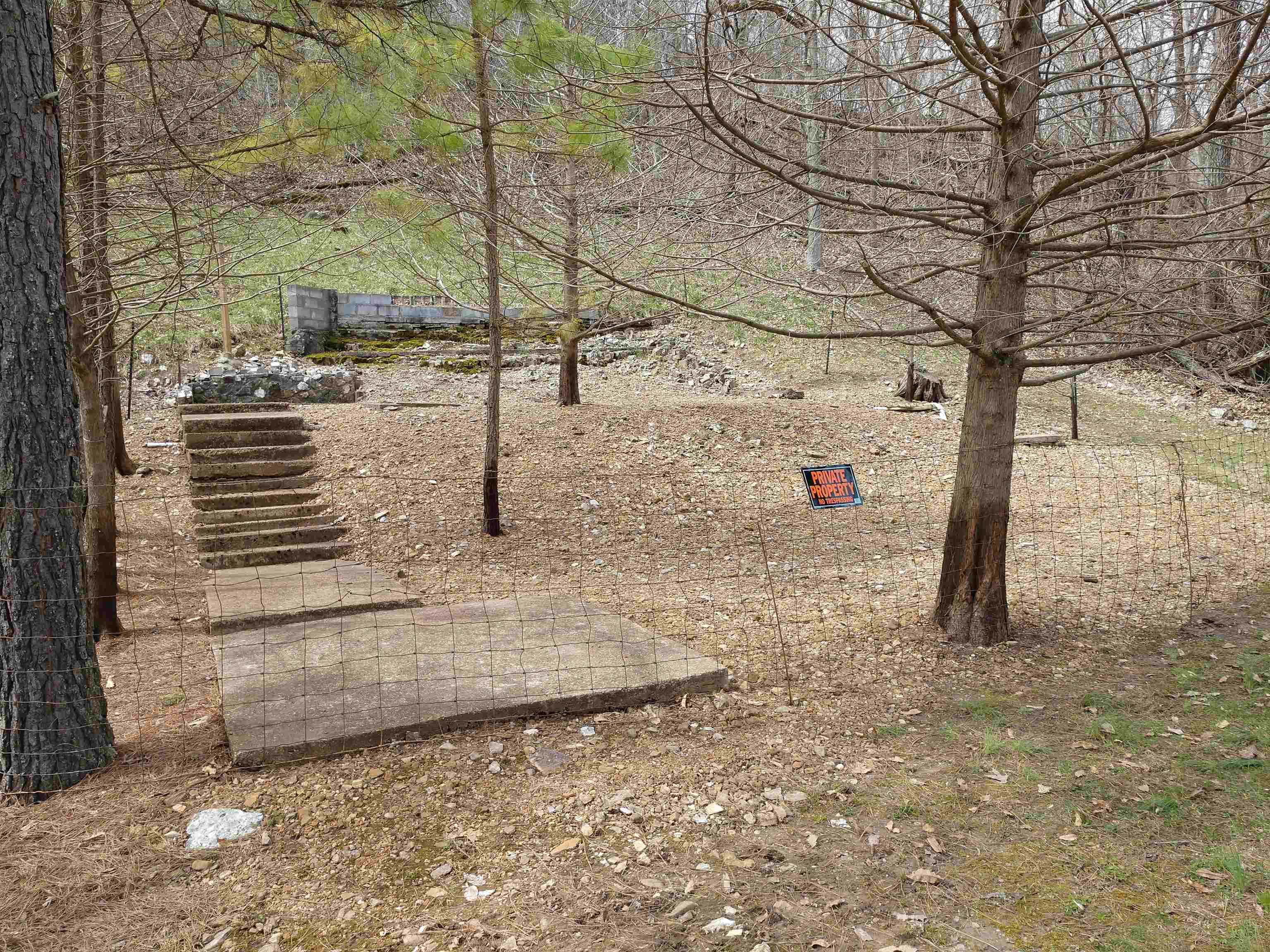 Spring Wood - Land