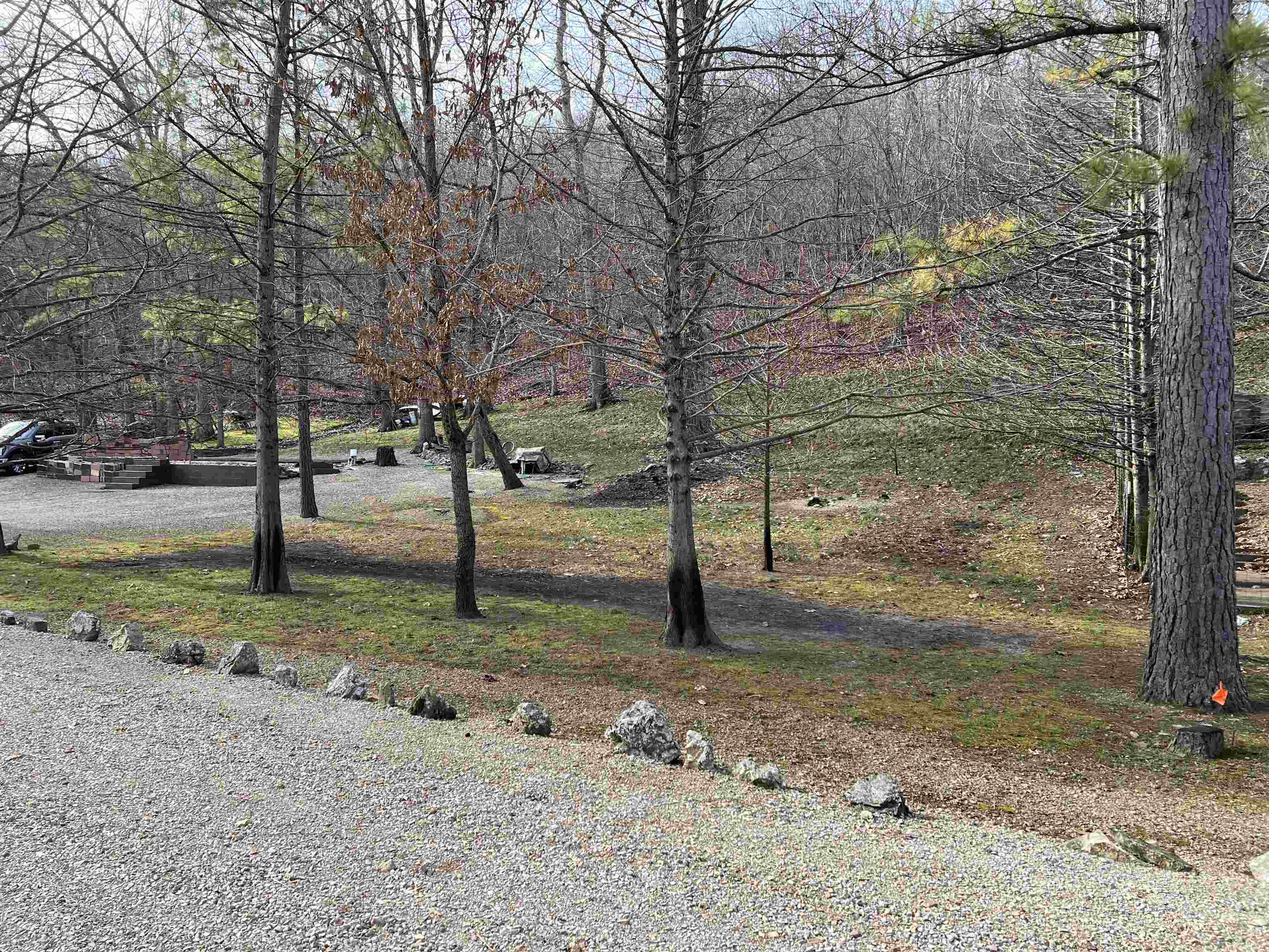 Spring Wood - Land