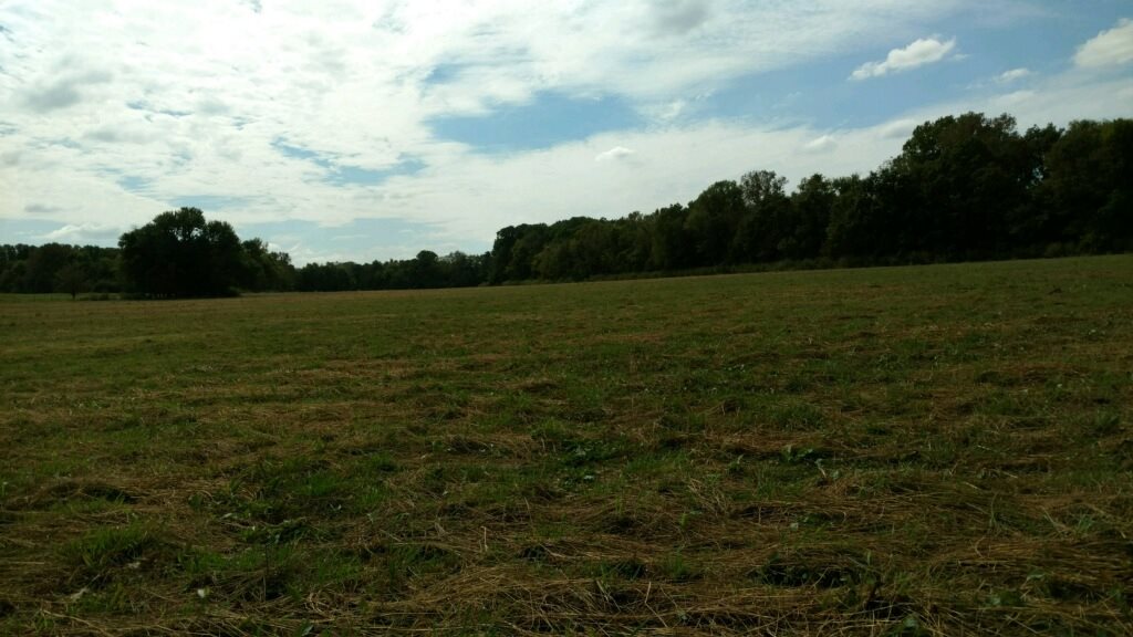 Metes & Bounds - Farm