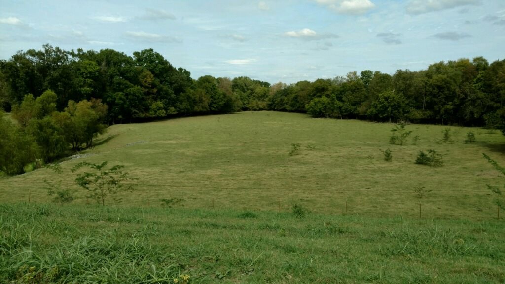 1054 acres located in SW AR on Hwy 29 N.  Ideal for grazing cattle.  Approx. 150 acres of mature hardwoods.  Also, great fishing and hunting, including ducks, deer, turkey, squirrel and hogs.  Pastures are improved native grasses with a 100 acre hay meadow.  Corral has a cover over the working area.  Perimeter fence and cross fences are in good condition.