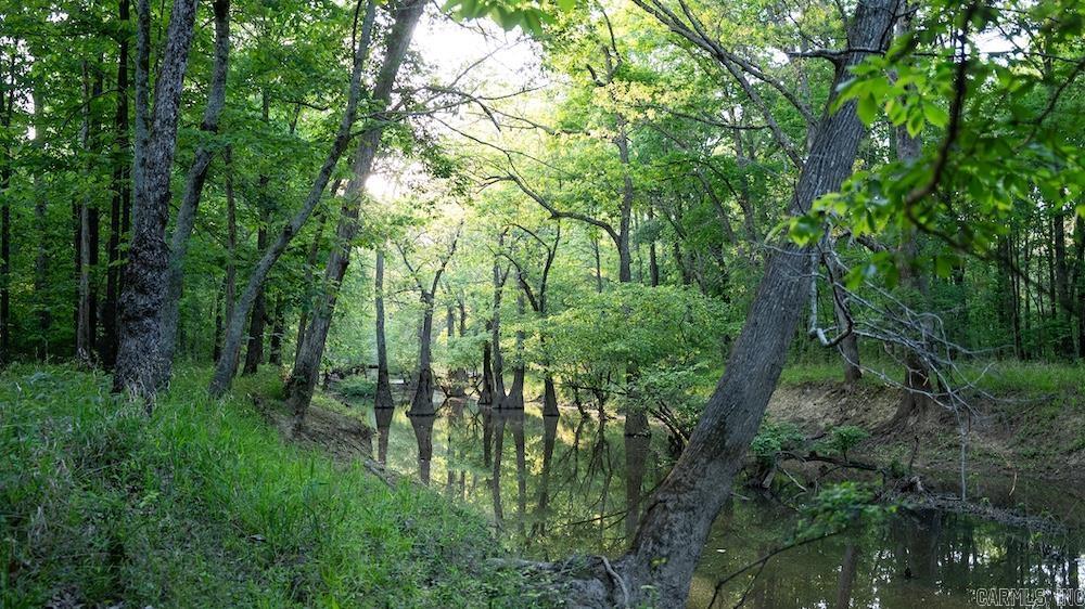 Paradise on Cypress Bayou is a rare 400± acre recreational property spanning White and Lonoke Counties in Arkansas, offering premier duck, whitetail, and turkey hunting in one incredible setting. Featuring 320± acres of mature bottomland hardwoods and 80± acres of productive tillable ground, the property includes engineered water-control systems capable of flooding fields and green timber without pumps, creating exceptional waterfowl habitat. Cypress Bayou winds through the tract for over a mile, providing boating, fishing, and natural seasonal flooding. Miles of gravel roads, trails, duck holes, food plots, blinds, and established deer and turkey setups make the property turnkey for serious hunters. The land is surrounded by thousands of acres of managed habitat known for outstanding wildlife genetics and consistent duck migration. A prime elevated build site with paved highway frontage, gated access, city water, three-phase electric, and fiber internet offers the perfect location for a cabin or dream home just minutes from downtown Beebe, AR. This is a truly exceptional combination of world-class hunting, income potential, privacy, and convenience rarely found in Arkansas.