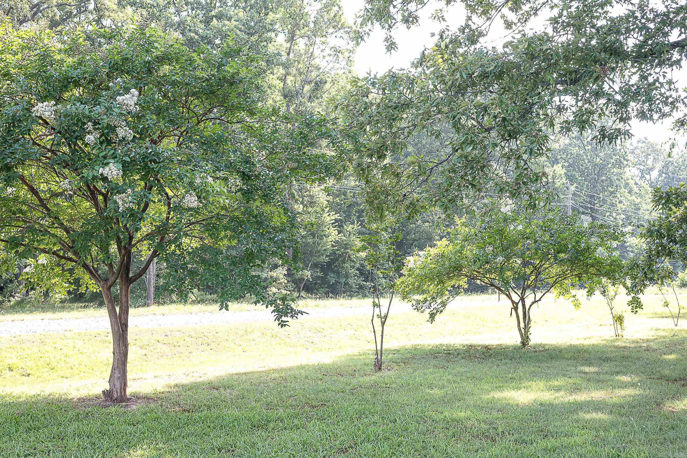 MEADOW CREEK ESTATES - Residential