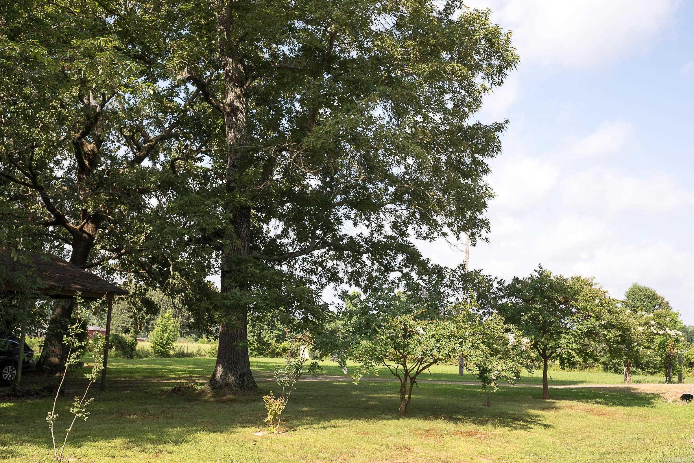 MEADOW CREEK ESTATES - Residential