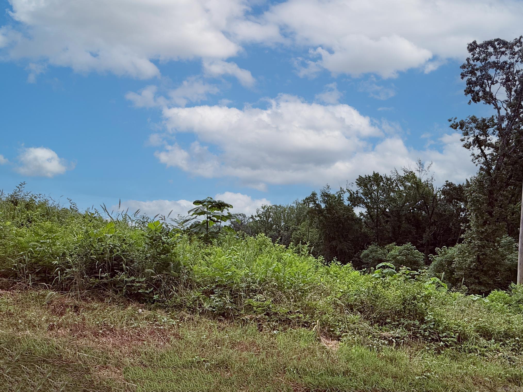 OAKLAND GROVE ESTATES - Land