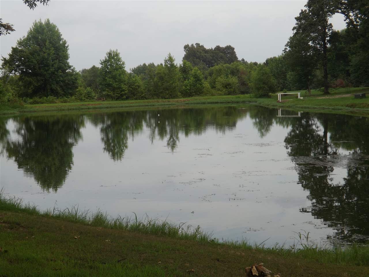 20 acres of rolling pasture with mature trees on property.
