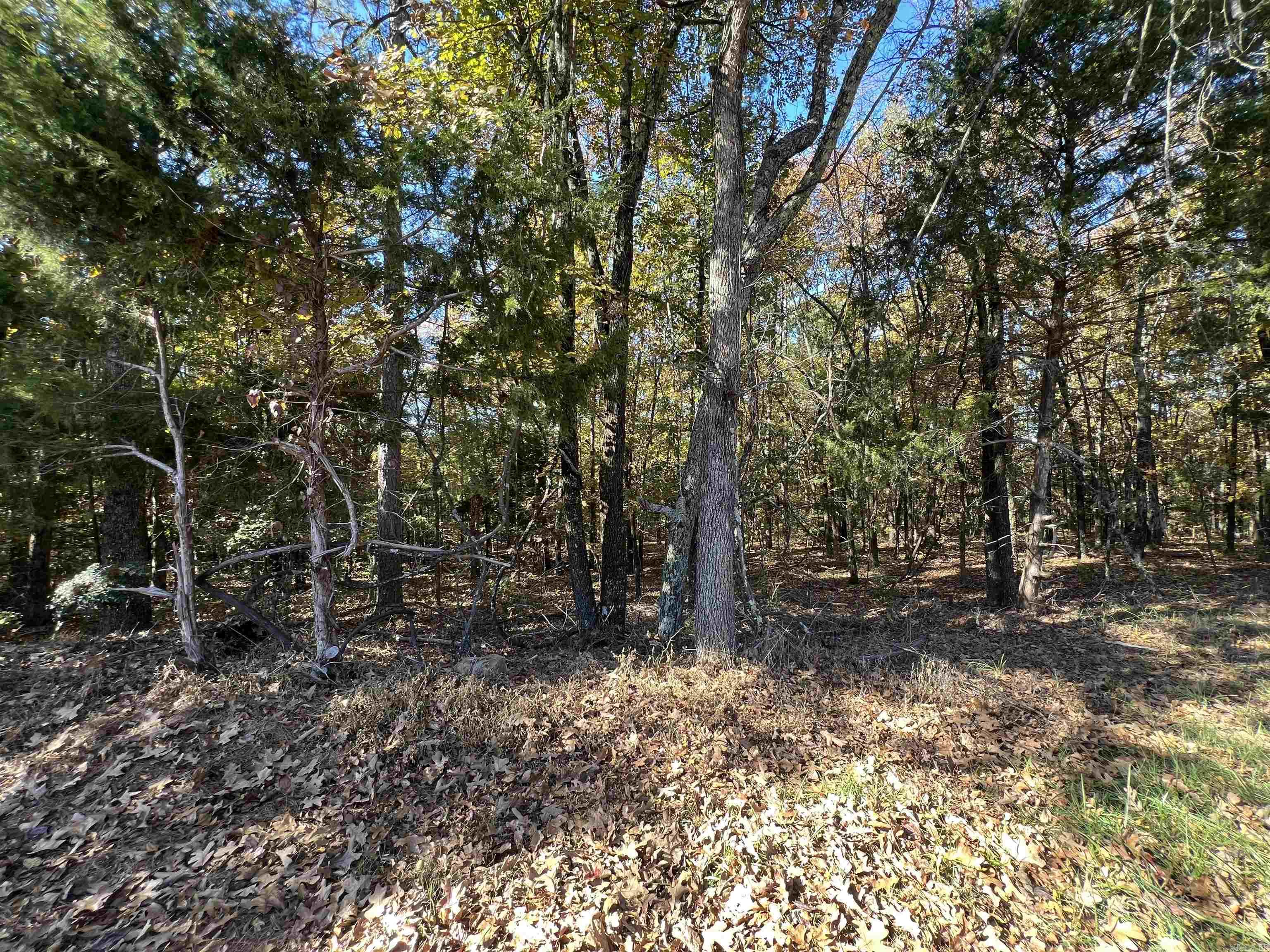 INDIAN HILLS - Land