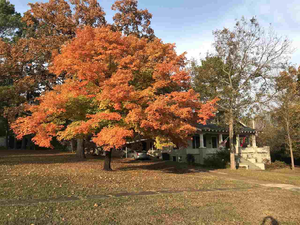 Heber Springs Original - Residential