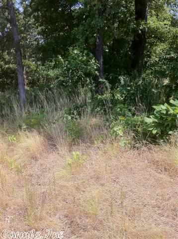 Owner financing available! Country living with city convience. LSSD! 19 lots to choose from. All city utilities. Mobile homes welcome. Prices range from $12,500 to $18,000.
