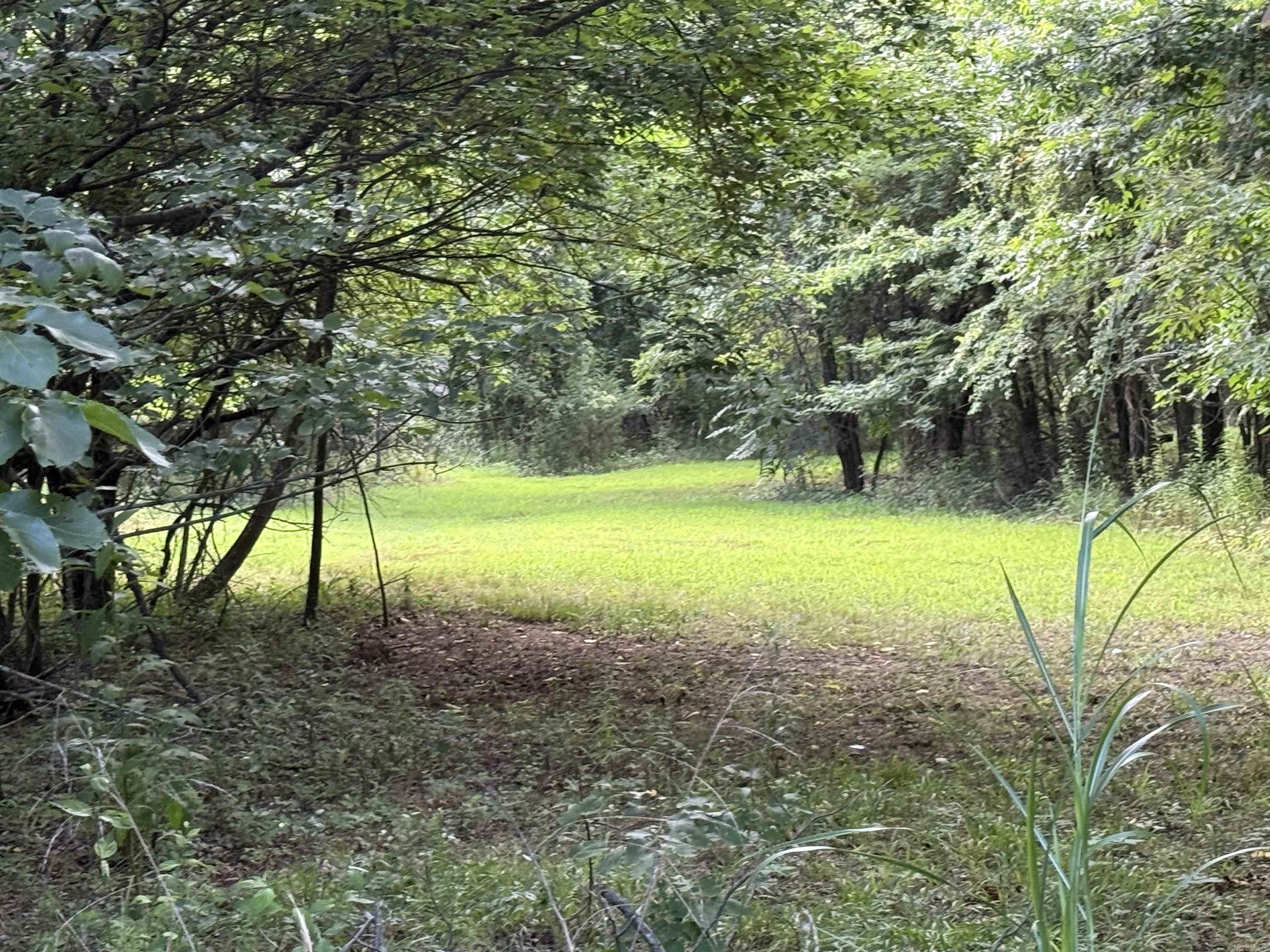 Discover the perfect opportunity to bring your vision to life on this beautiful 13.97-acre property! Nestled in a peaceful, scenic setting, this unrestricted land offers endless possibilities. Whether you’re dreaming of building your custom home, creating a hobby farm, placing a manufactured home, or simply investing in acreage, this property gives you the freedom to make it your own. With no restrictions or covenants, you’ll enjoy the flexibility to create the lifestyle you’ve always wanted. Don’t miss this rare chance to own nearly 14 acres in a beautiful location with unlimited potential!