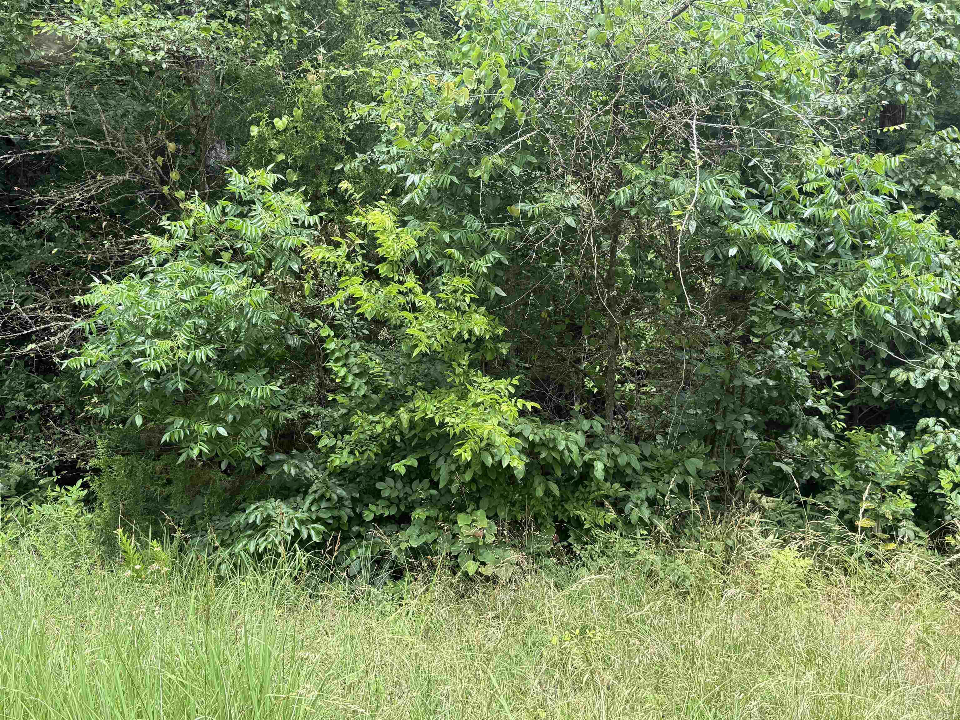 Seminole Second - Land
