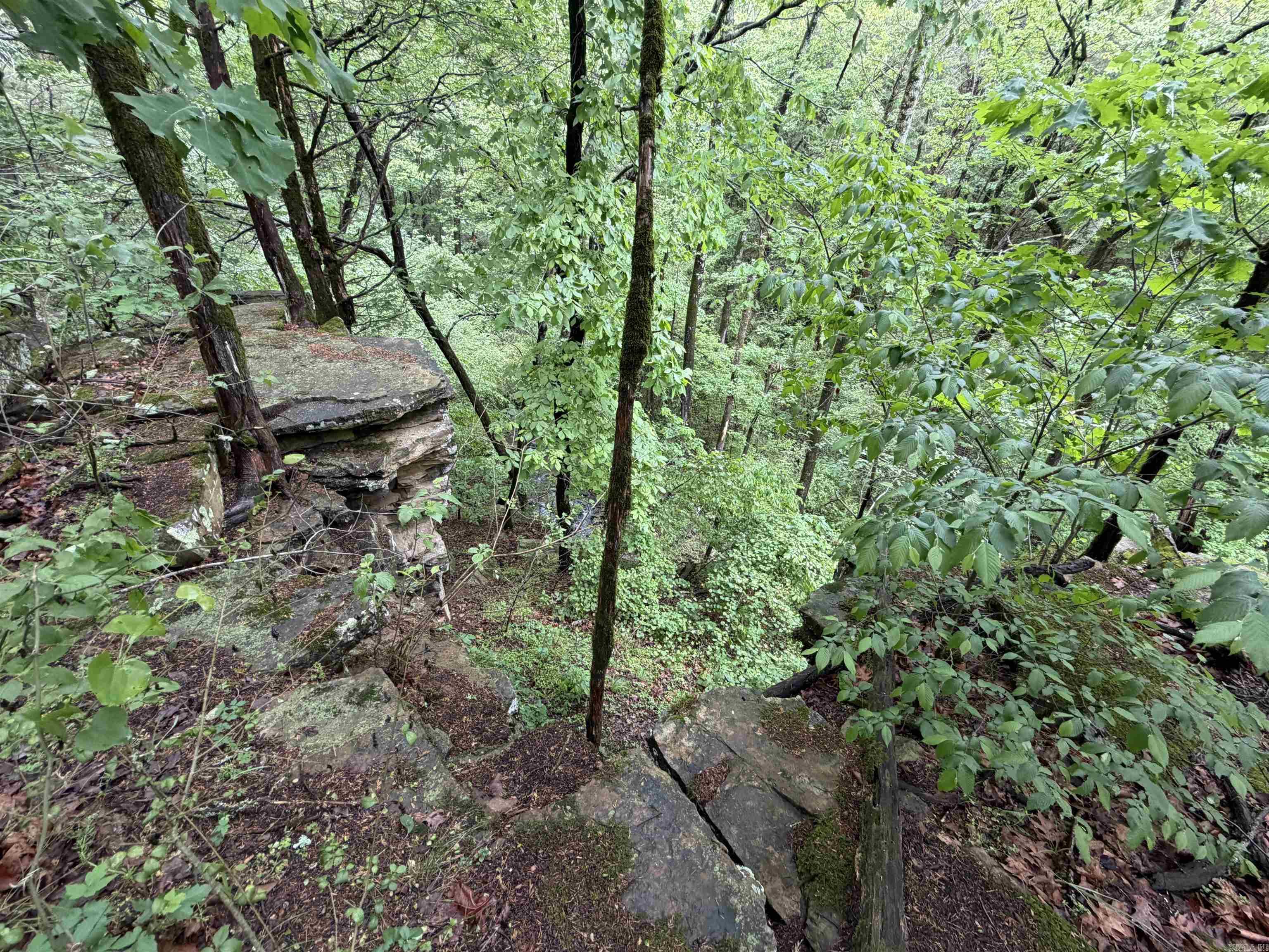 City of Ozark - Land