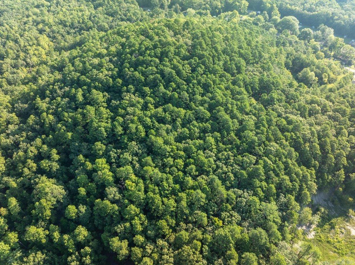 Ceilo Vista - Land