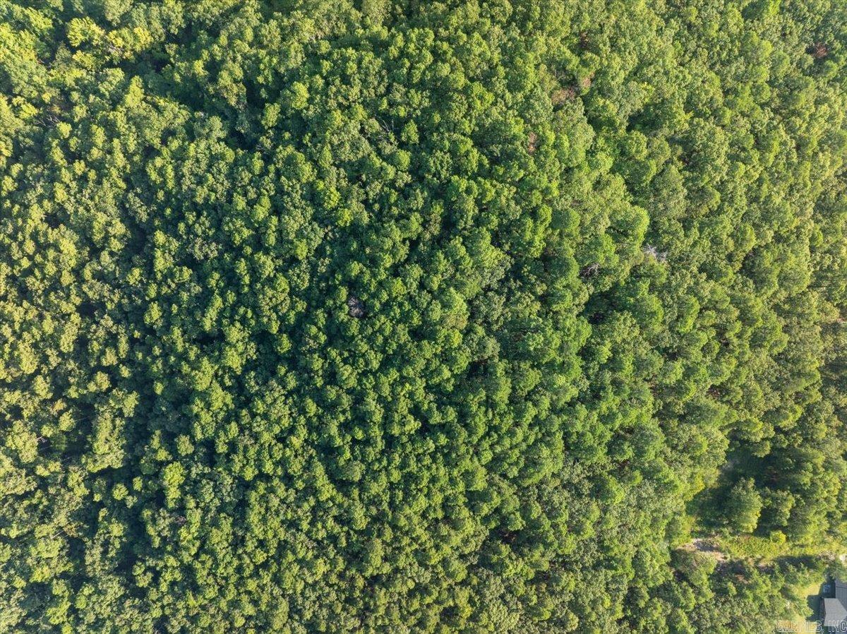 Ceilo Vista - Land