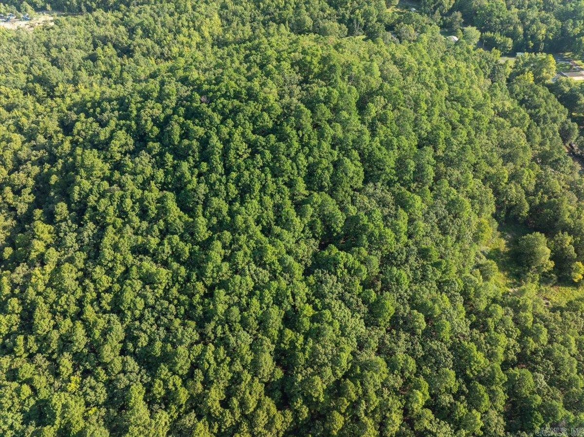 Ceilo Vista - Land