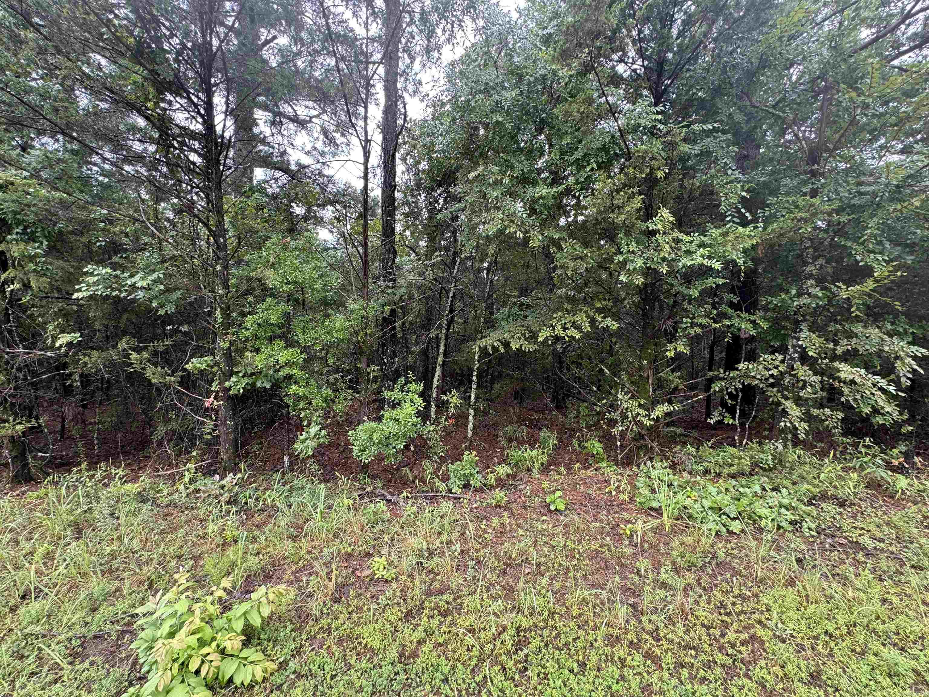 Discover the possibilities with this beautiful 23± acre wooded tract located just off Mitchell Road in Booneville, Arkansas. Featuring gently sloping terrain, this property offers the perfect setting for a private homesite, recreational retreat, hunting property, or future investment. Surrounded by the natural beauty of mature timber and abundant wildlife, you’ll enjoy the peace and privacy of country living while still being conveniently located near town. Whether you’re looking to build your dream home or simply invest in acreage, this versatile property is ready for your vision. Don’t miss this opportunity to own a spacious piece of Arkansas countryside!
