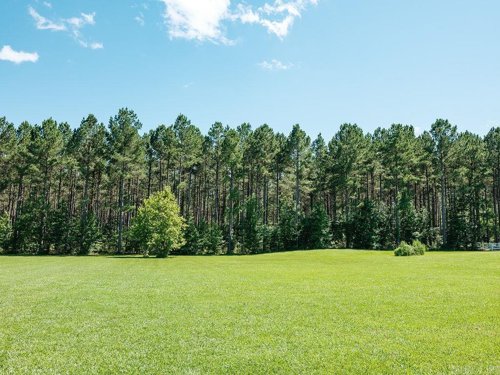 OLIVIA ESTATES - Residential