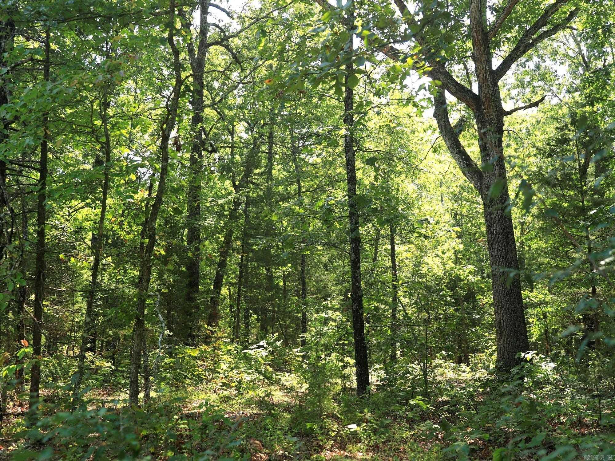 Pioneer Park - Land